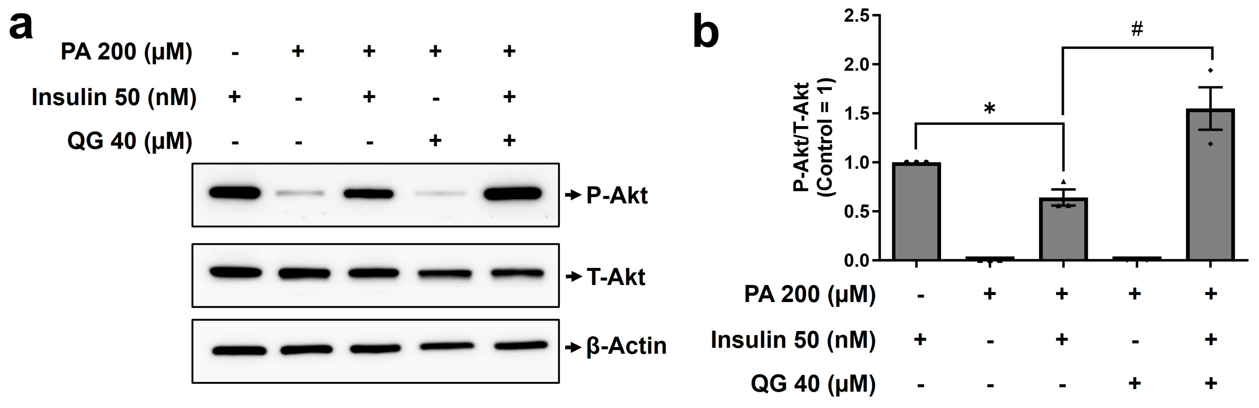 Nutrients 16 00647 g006