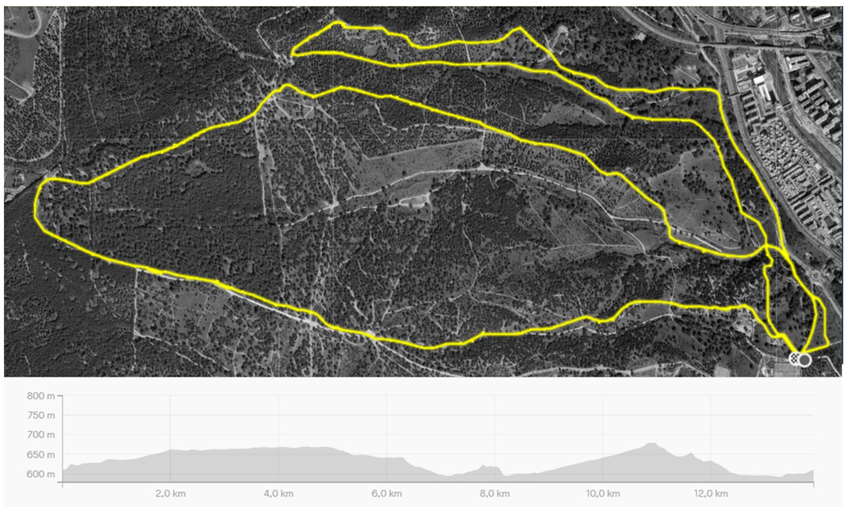 Nutrients 16 00668 g001