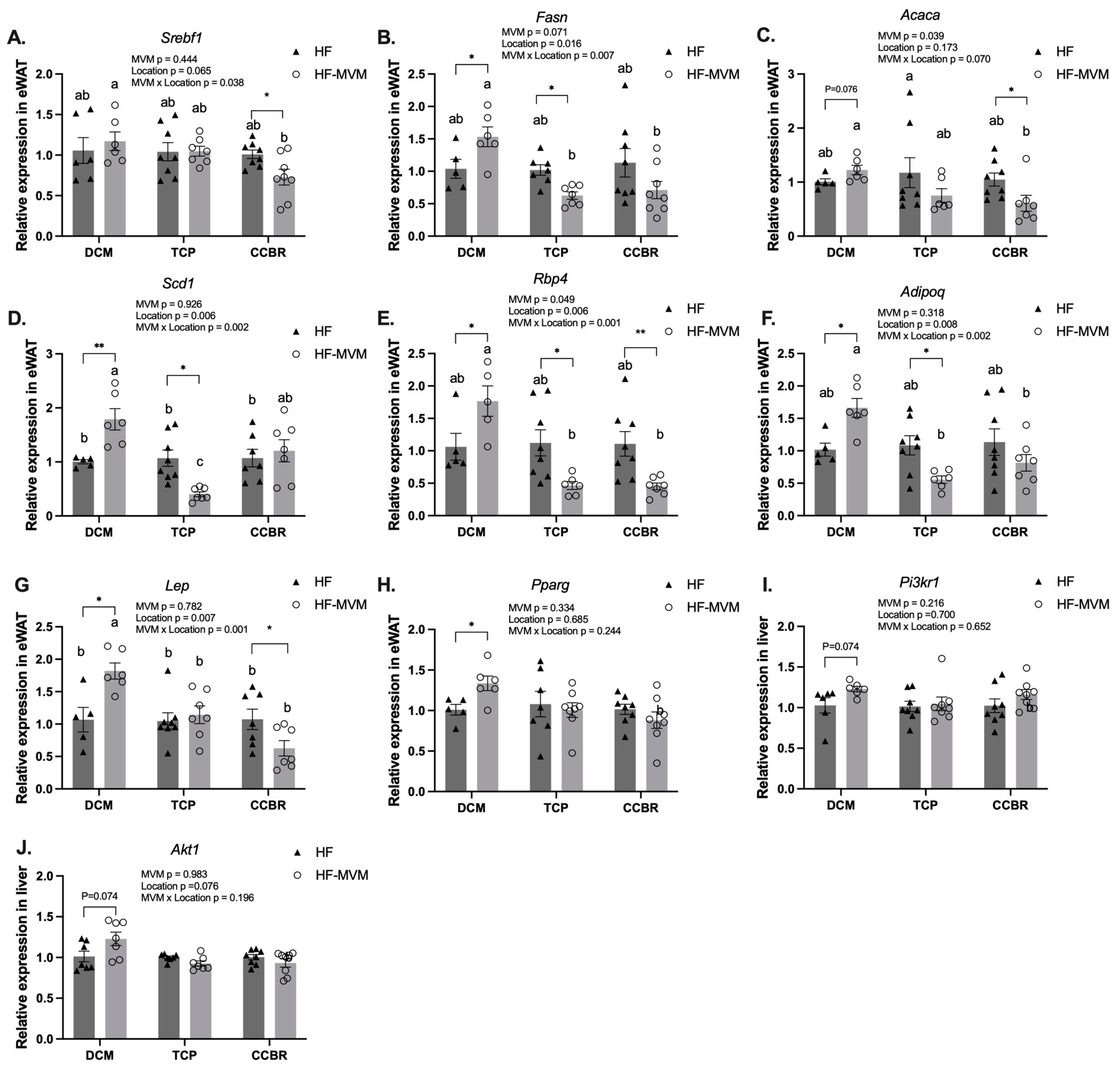 Nutrients 16 00696 g004 Nutrients 16 00696 g004