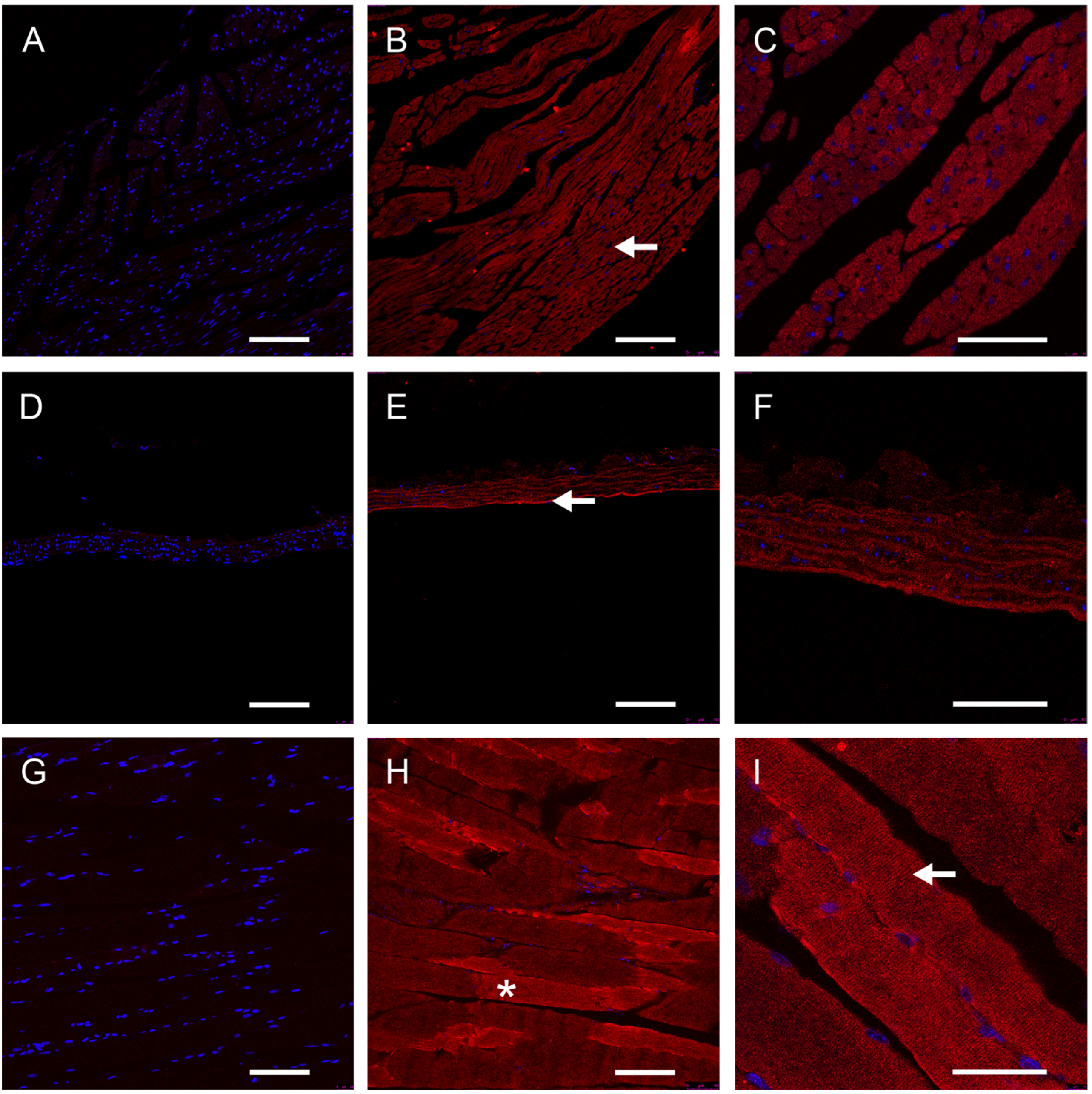 Nutrients 16 00734 g004 Nutrients 16 00734 g004