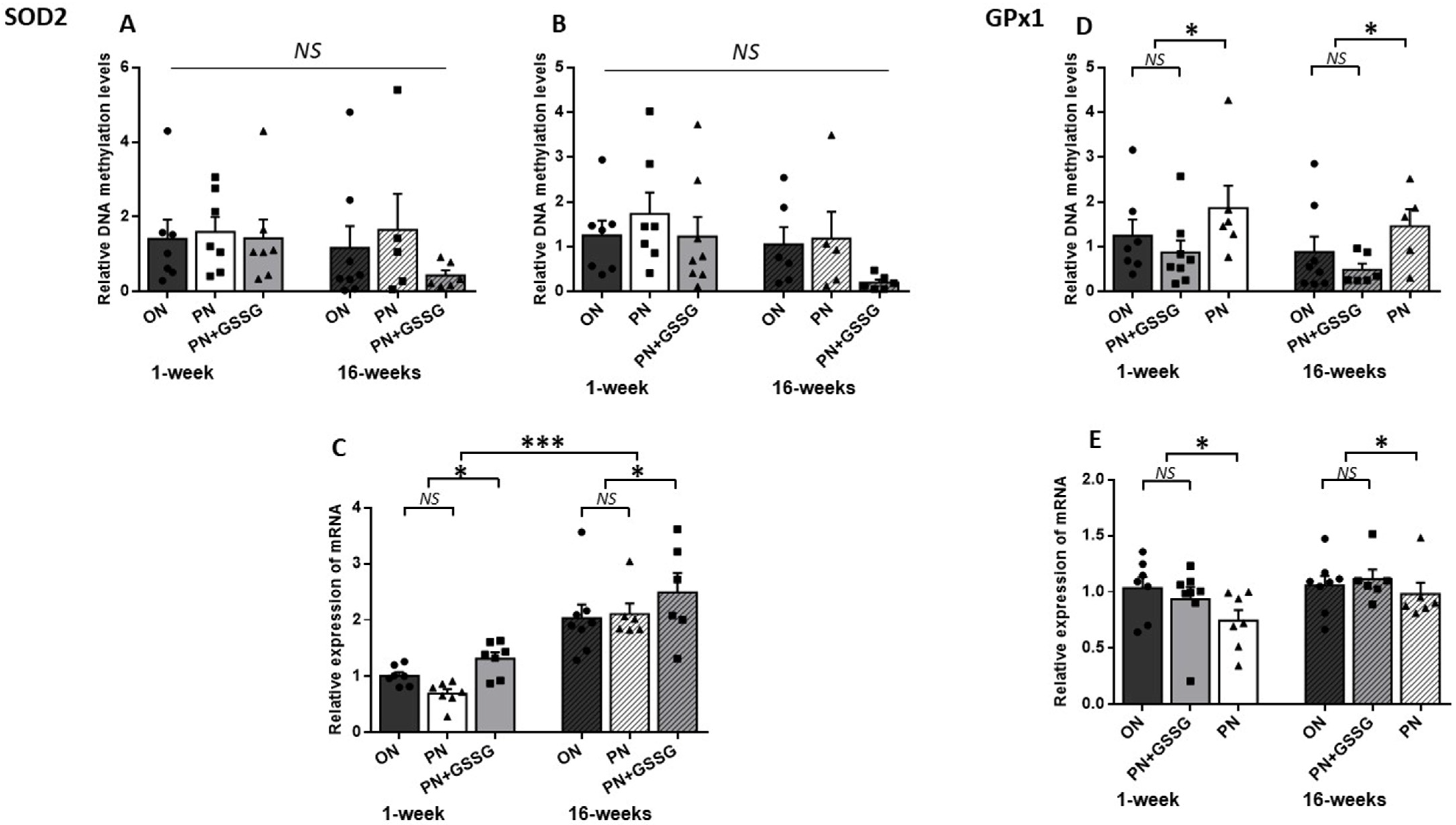Nutrients 16 00849 g002