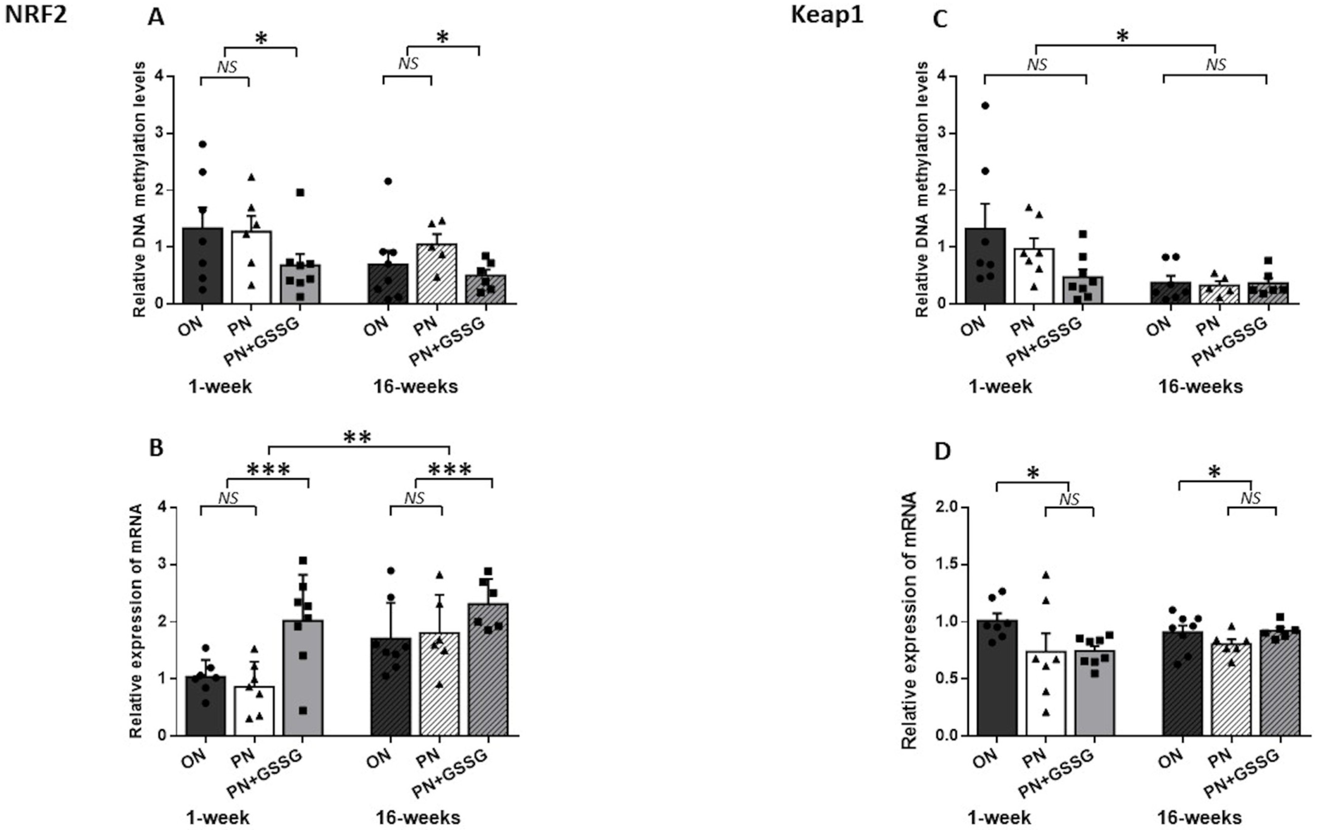 Nutrients 16 00849 g004