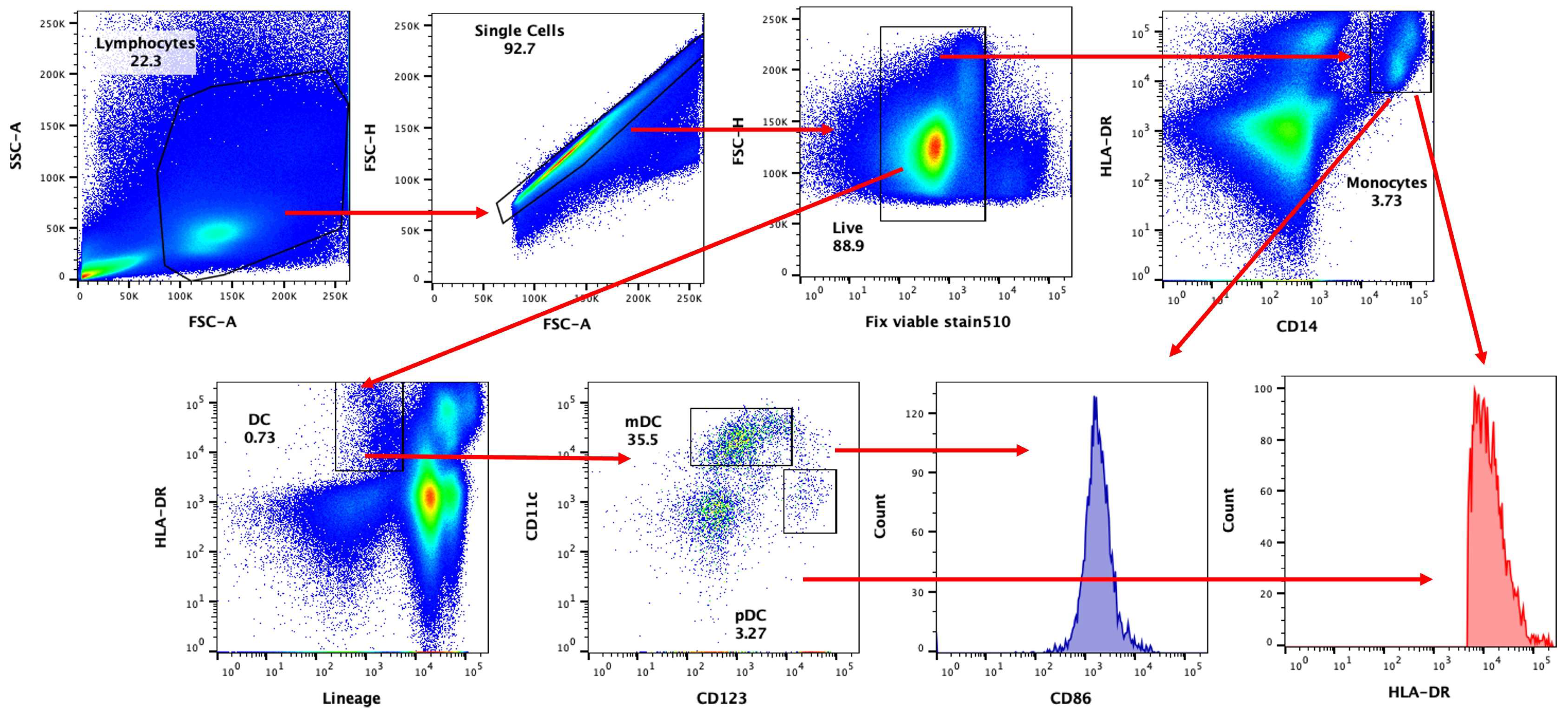 Nutrients 16 00881 g001