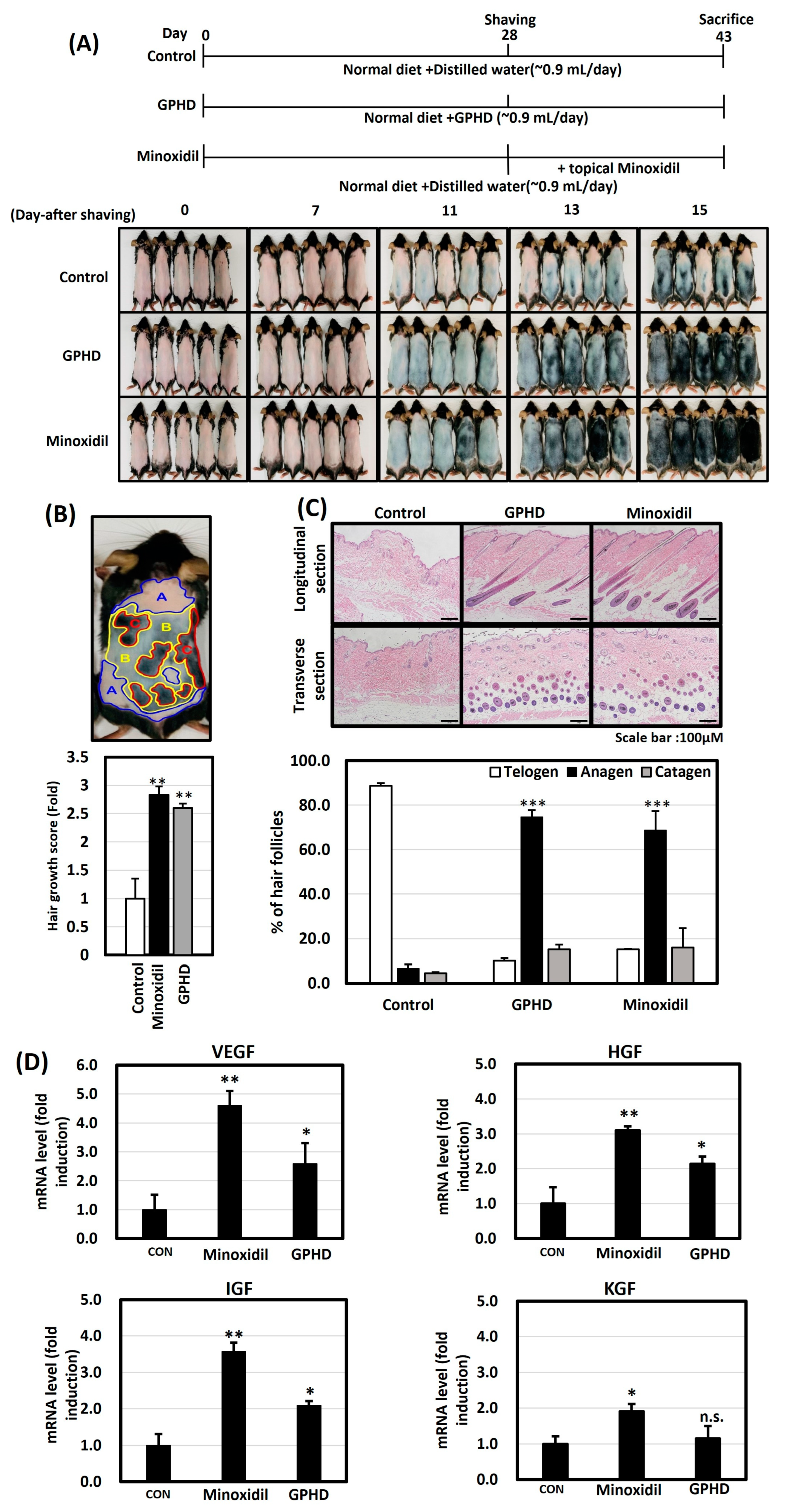 Nutrients 16 00985 g001