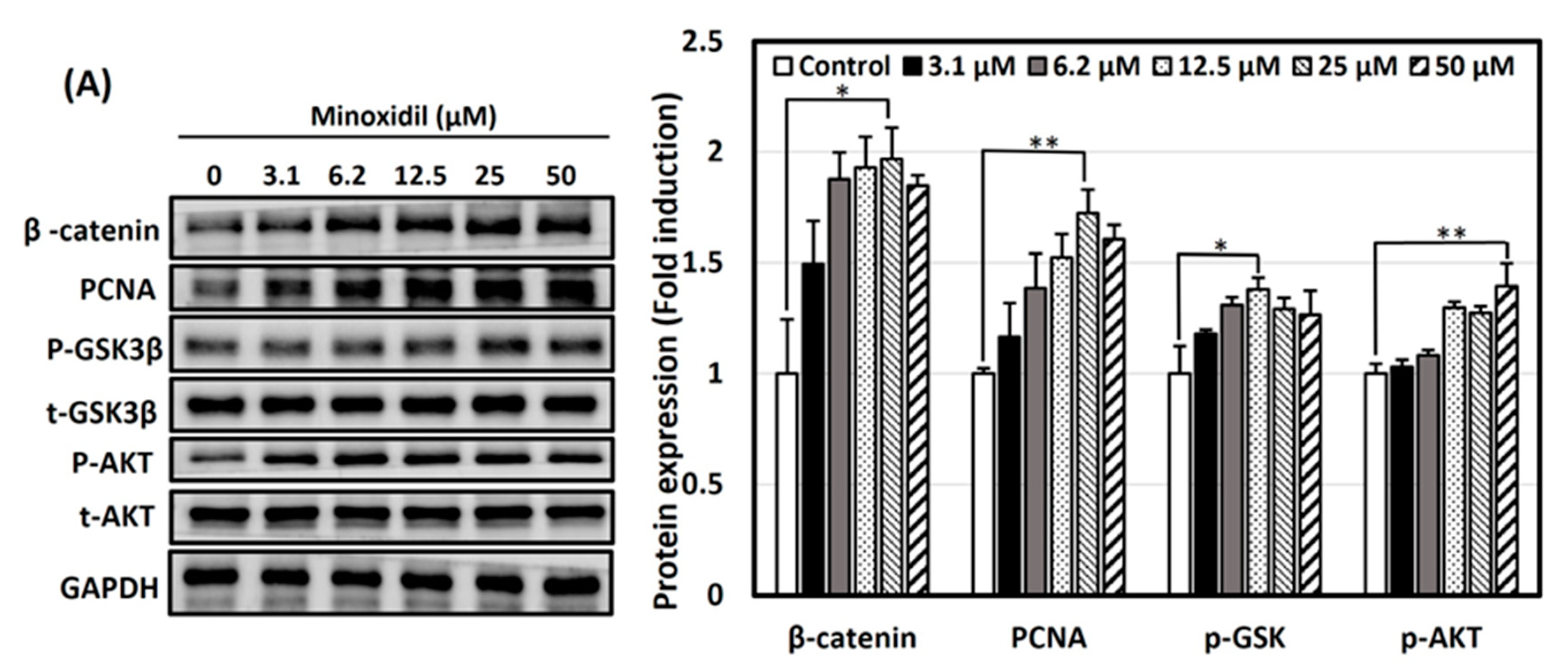 Nutrients 16 00985 g004a