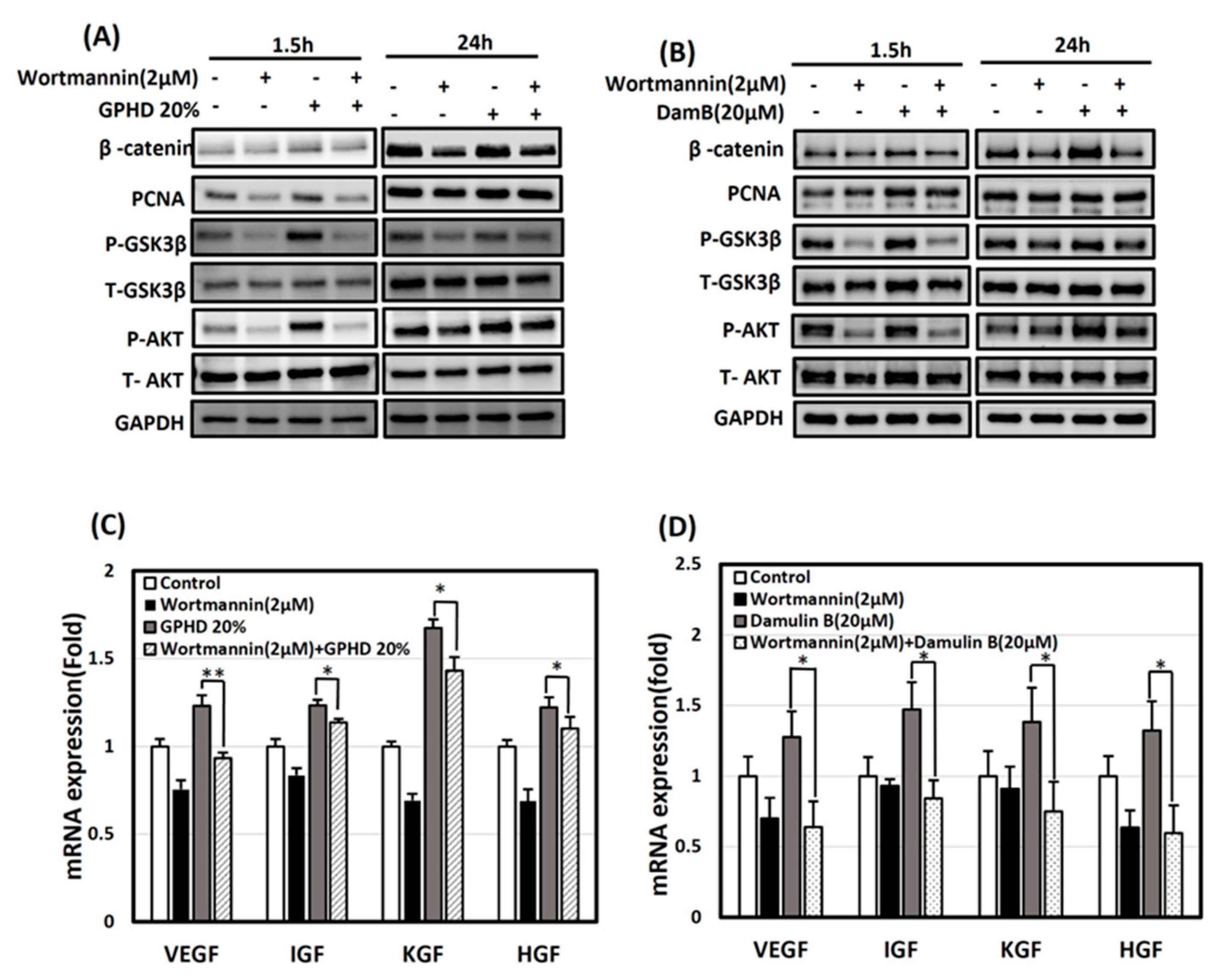 Nutrients 16 00985 g005