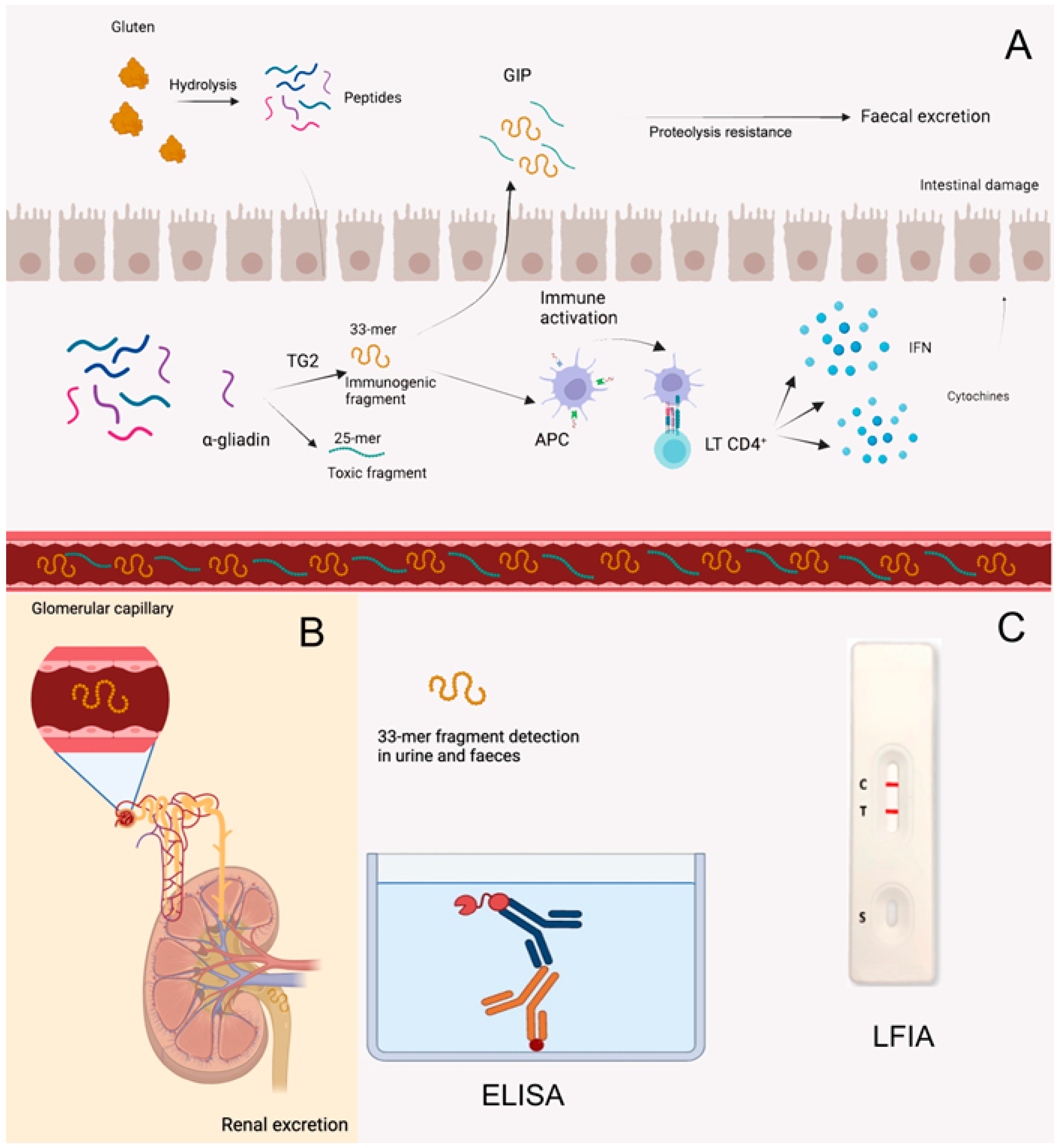 Nutrients 16 01006 g002