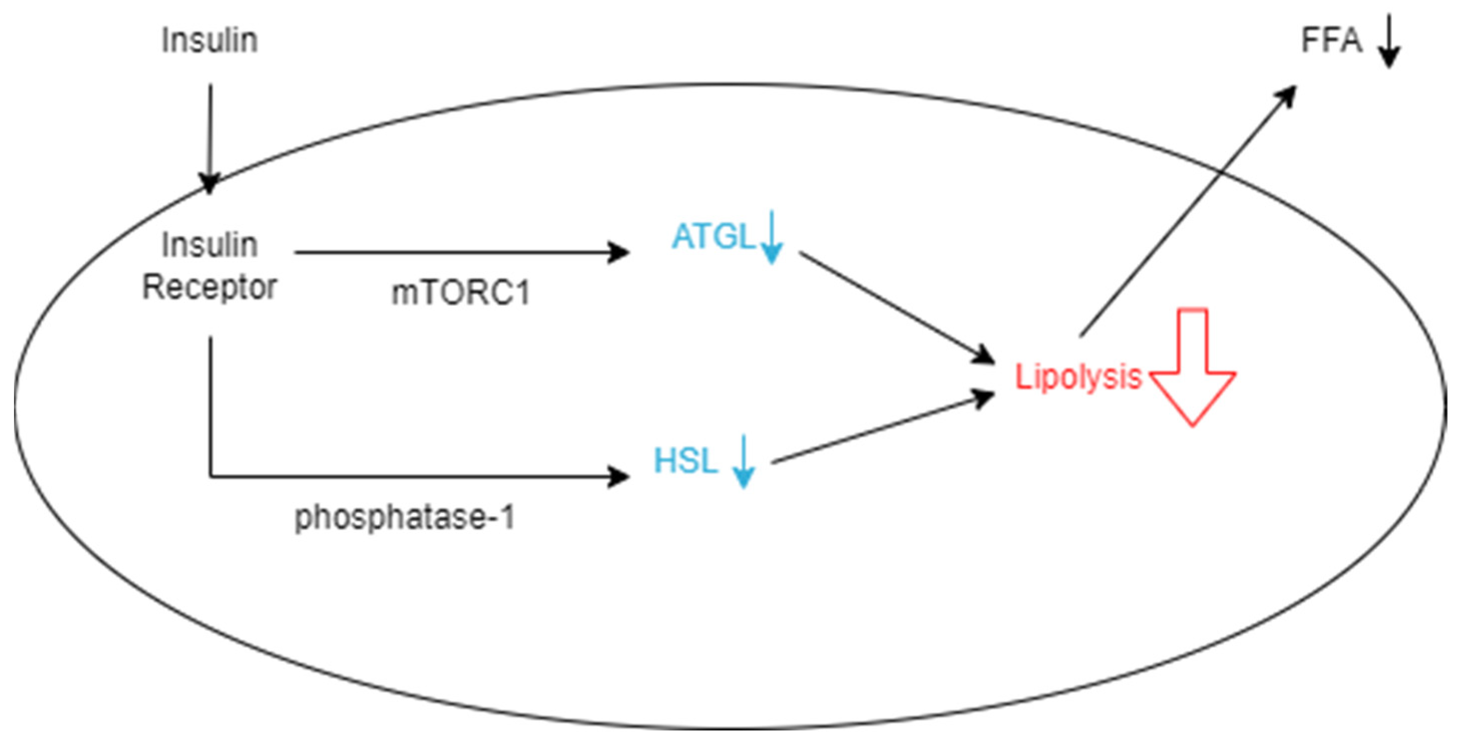 Nutrients 16 01015 g001 Nutrients 16 01015 g001