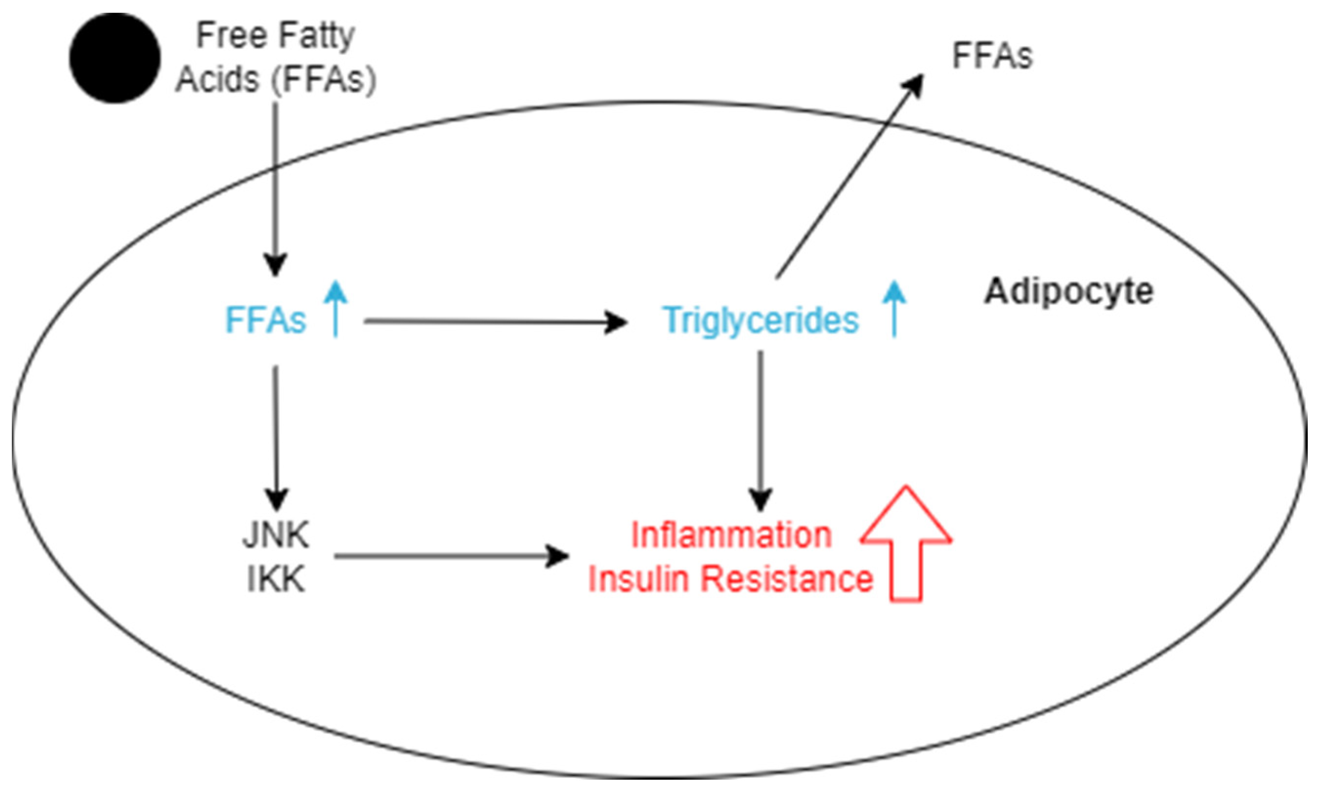 Nutrients 16 01015 g002 Nutrients 16 01015 g002