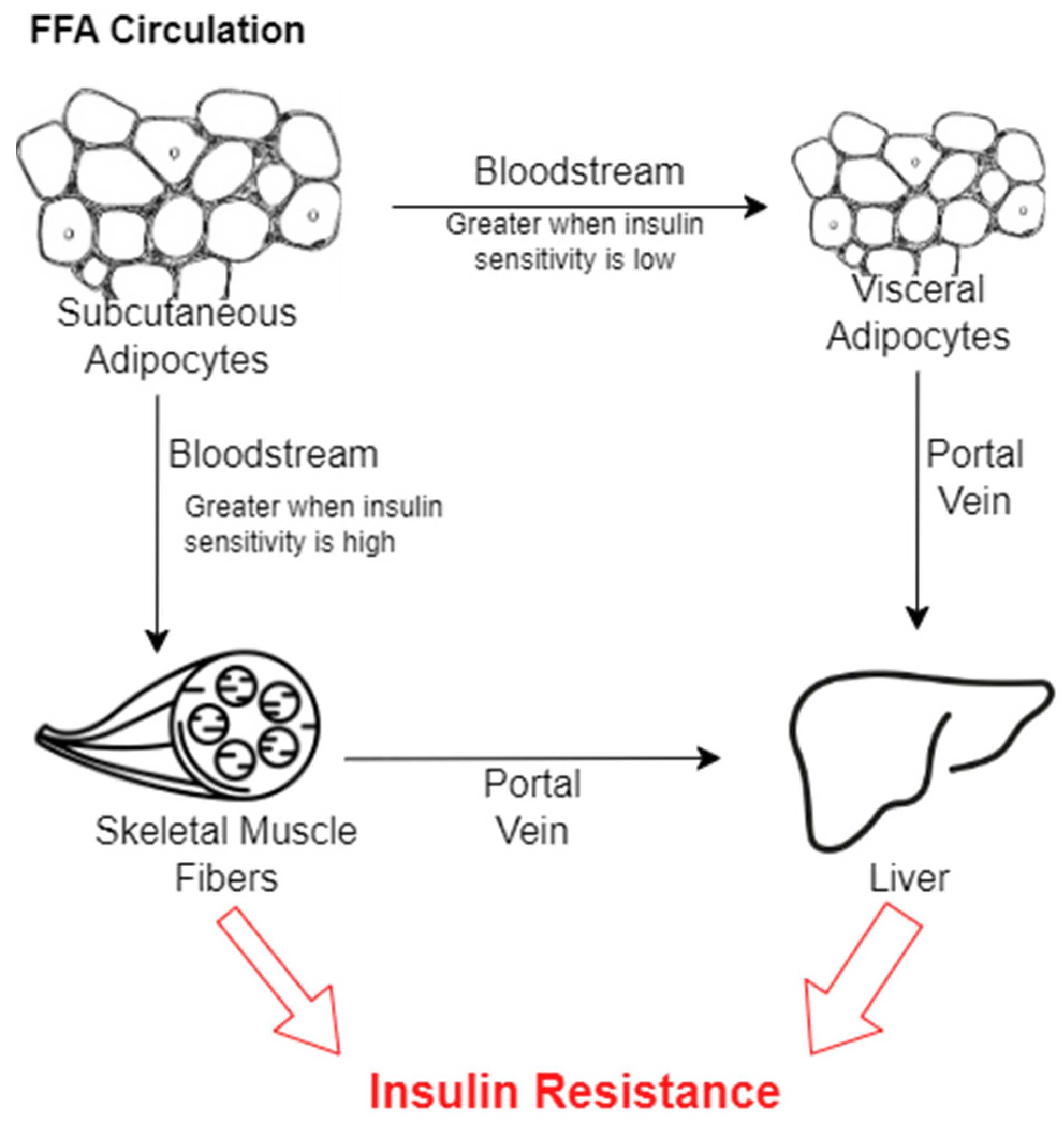 Nutrients 16 01015 g004 Nutrients 16 01015 g004