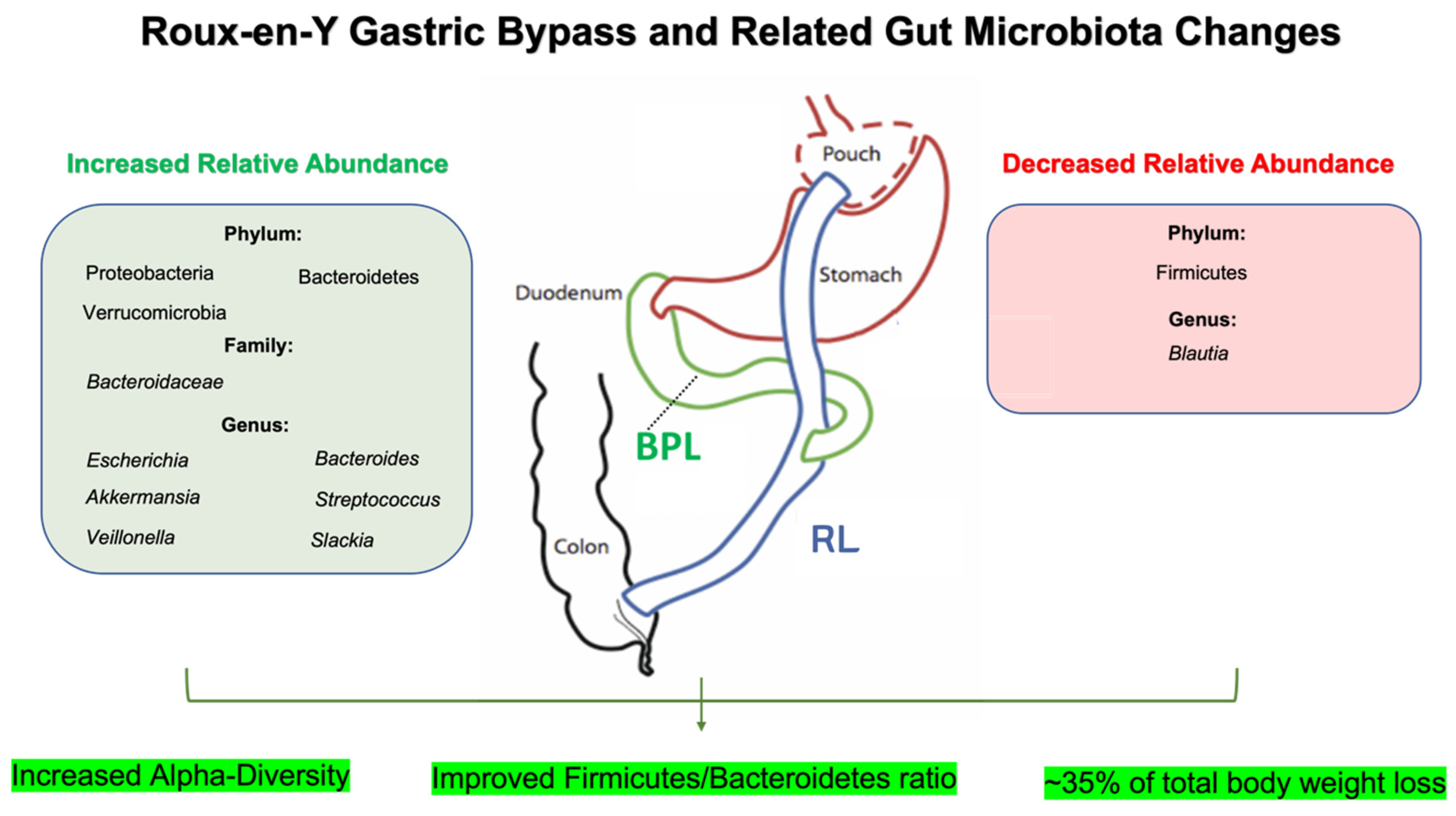 Nutrients | Free Full-Text | Influence of Bariatric Surgery on Gut 