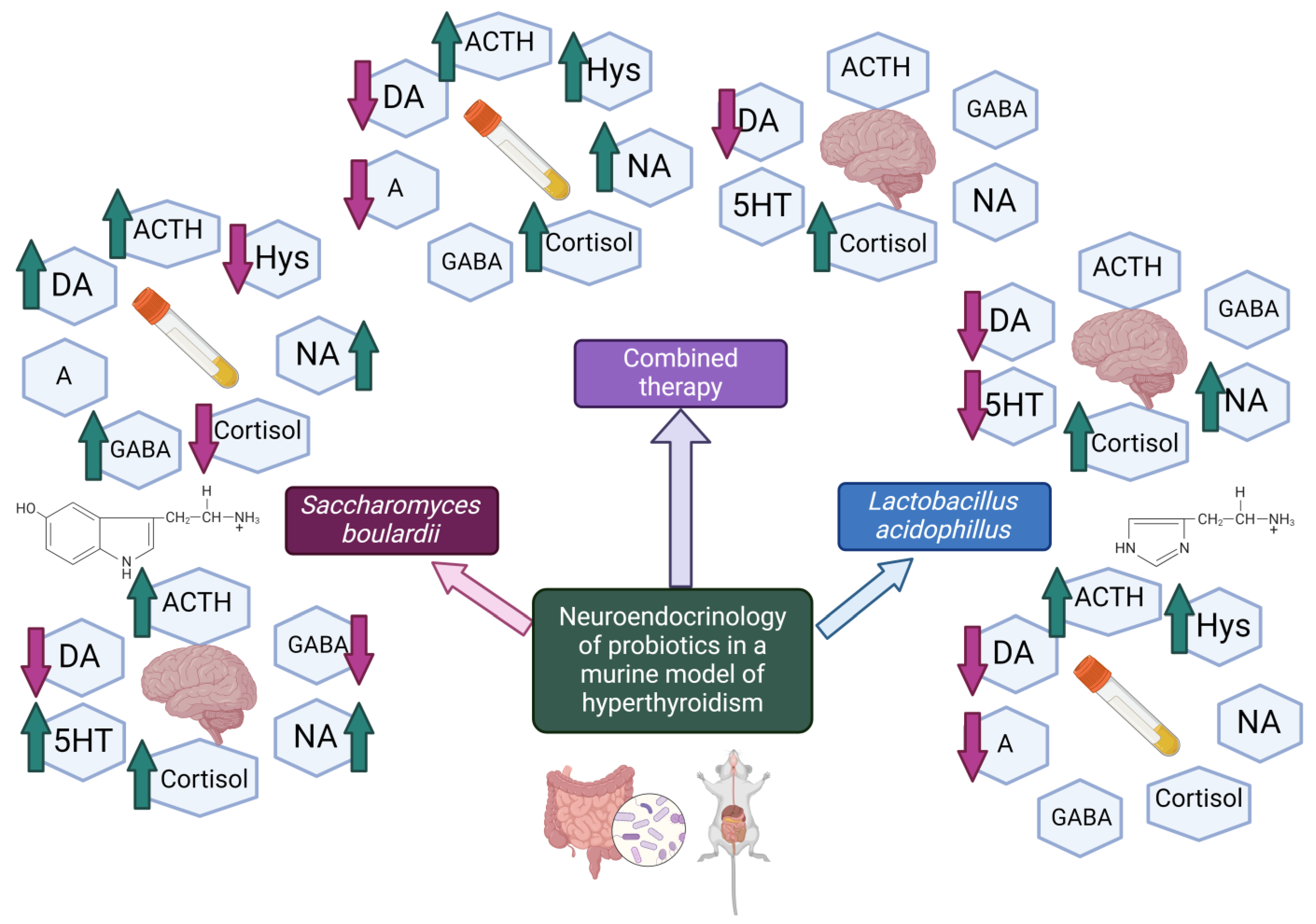 Nutrients 16 01077 g004