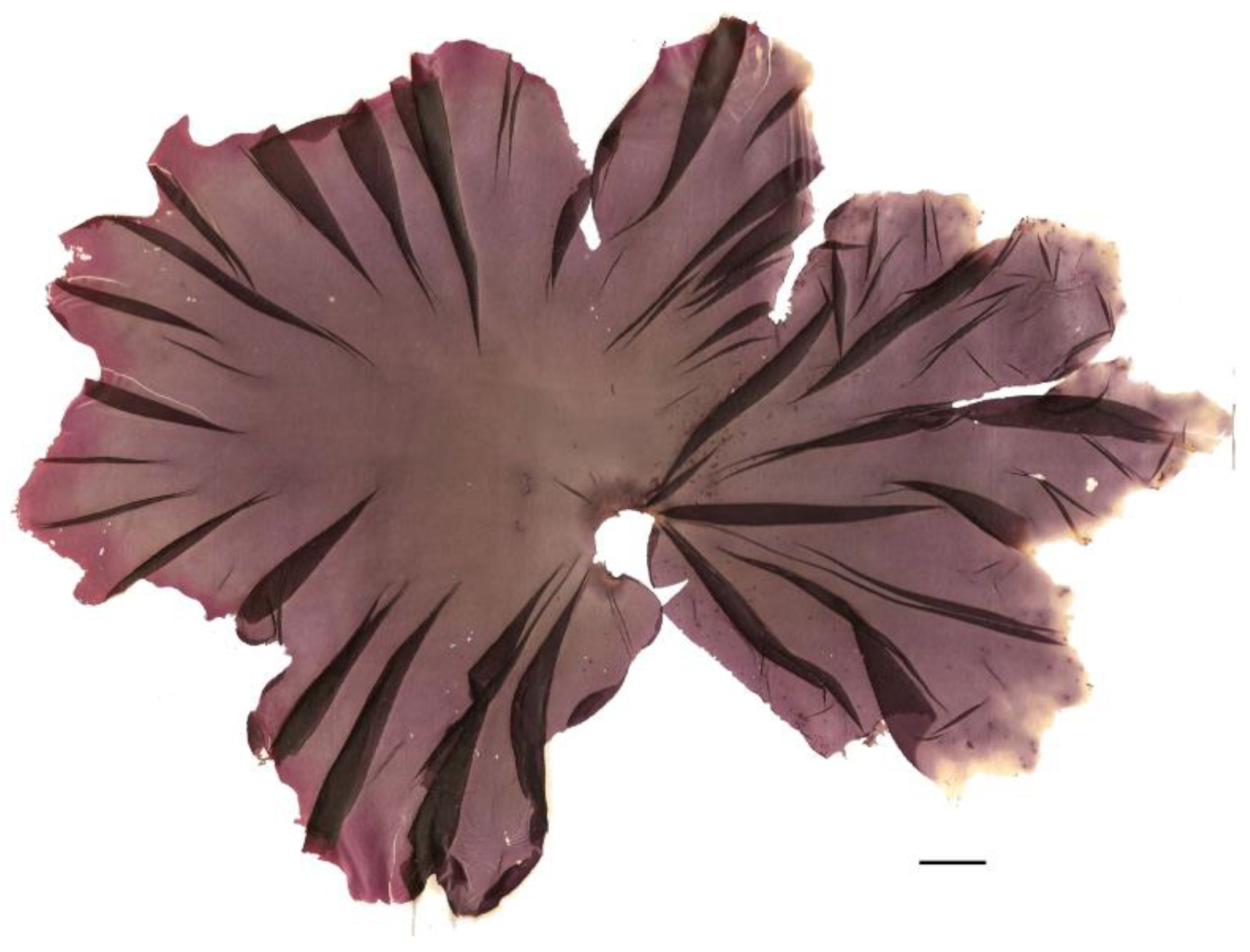 Nutrients 16 01123 g001