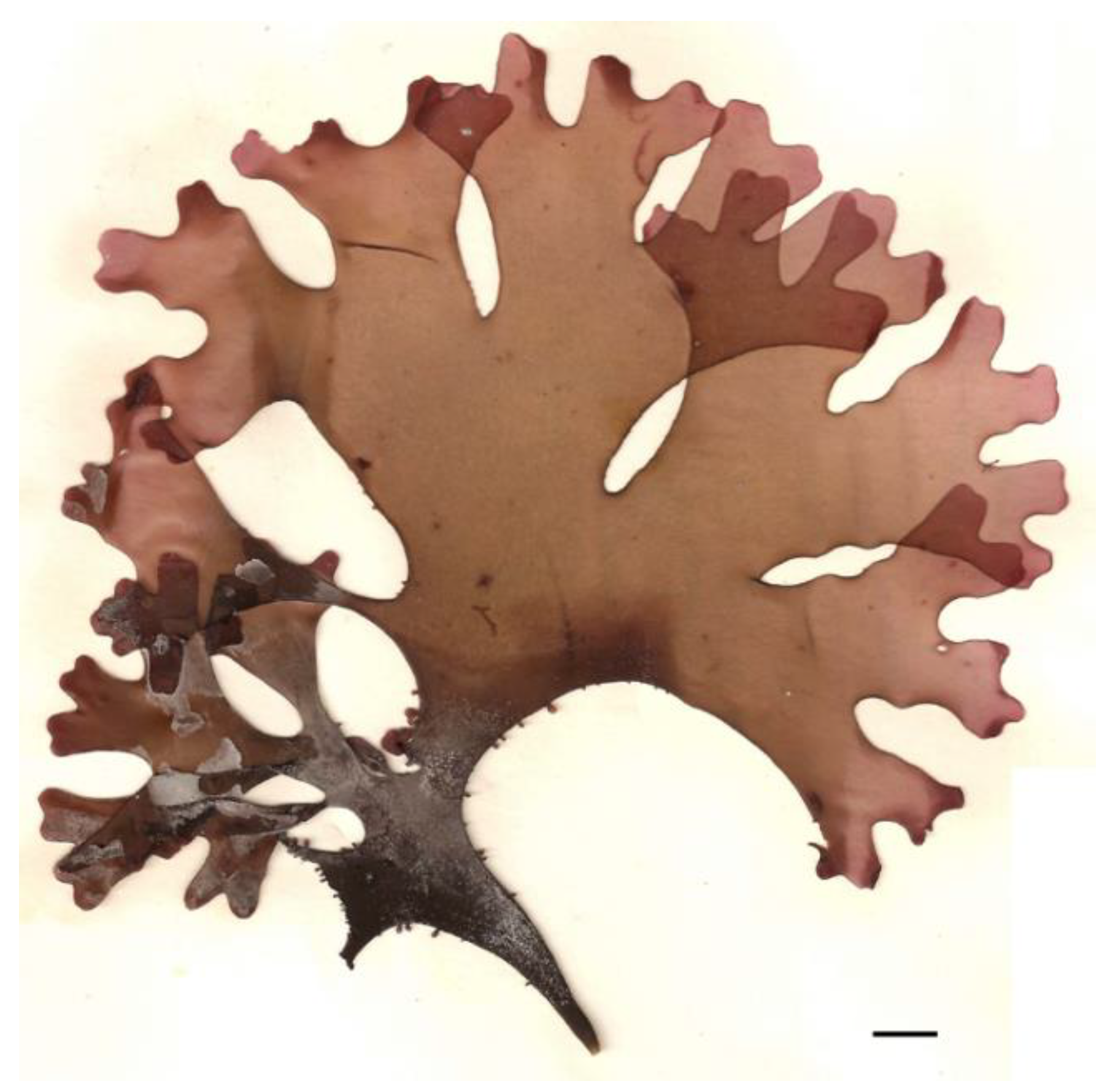 Nutrients 16 01123 g004