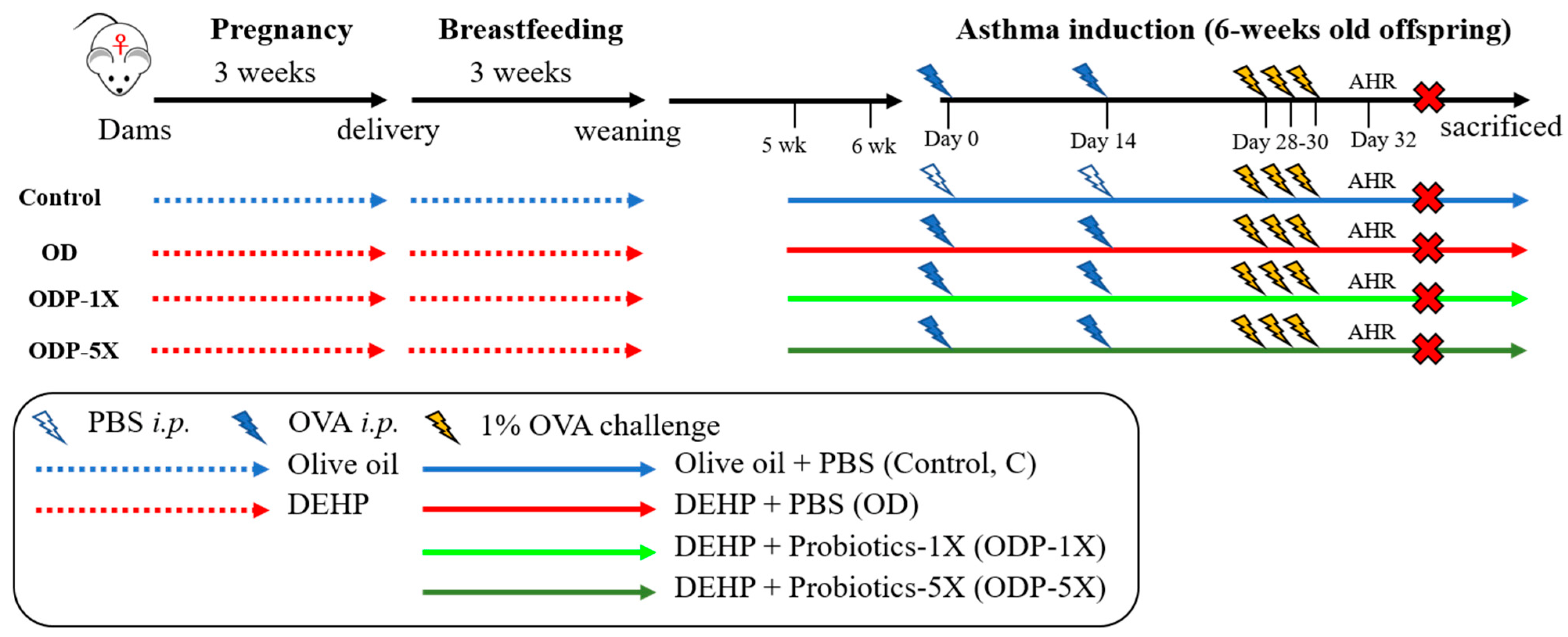 Nutrients 16 01160 g001