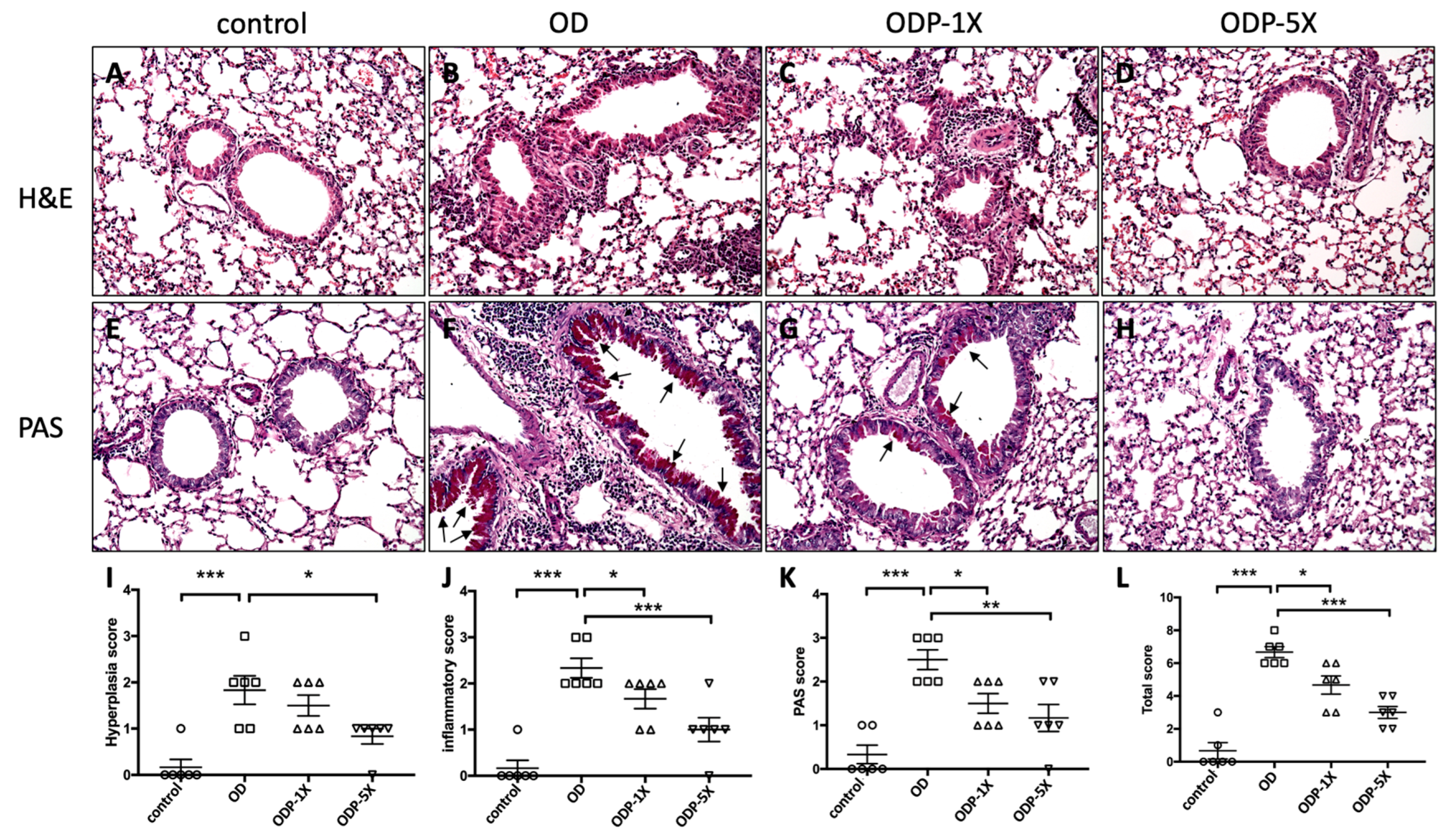 Nutrients 16 01160 g008