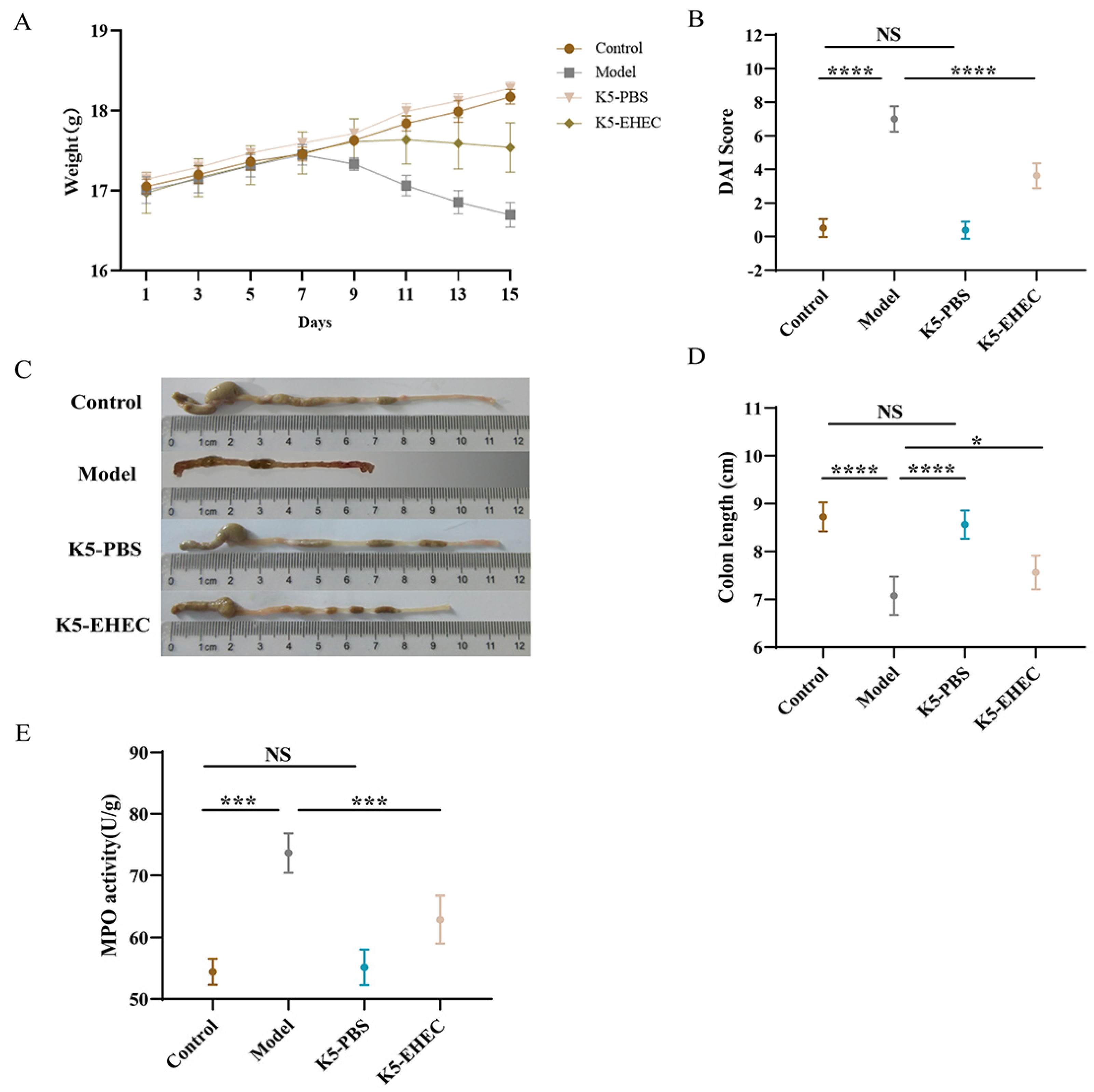 Nutrients 16 01164 g001