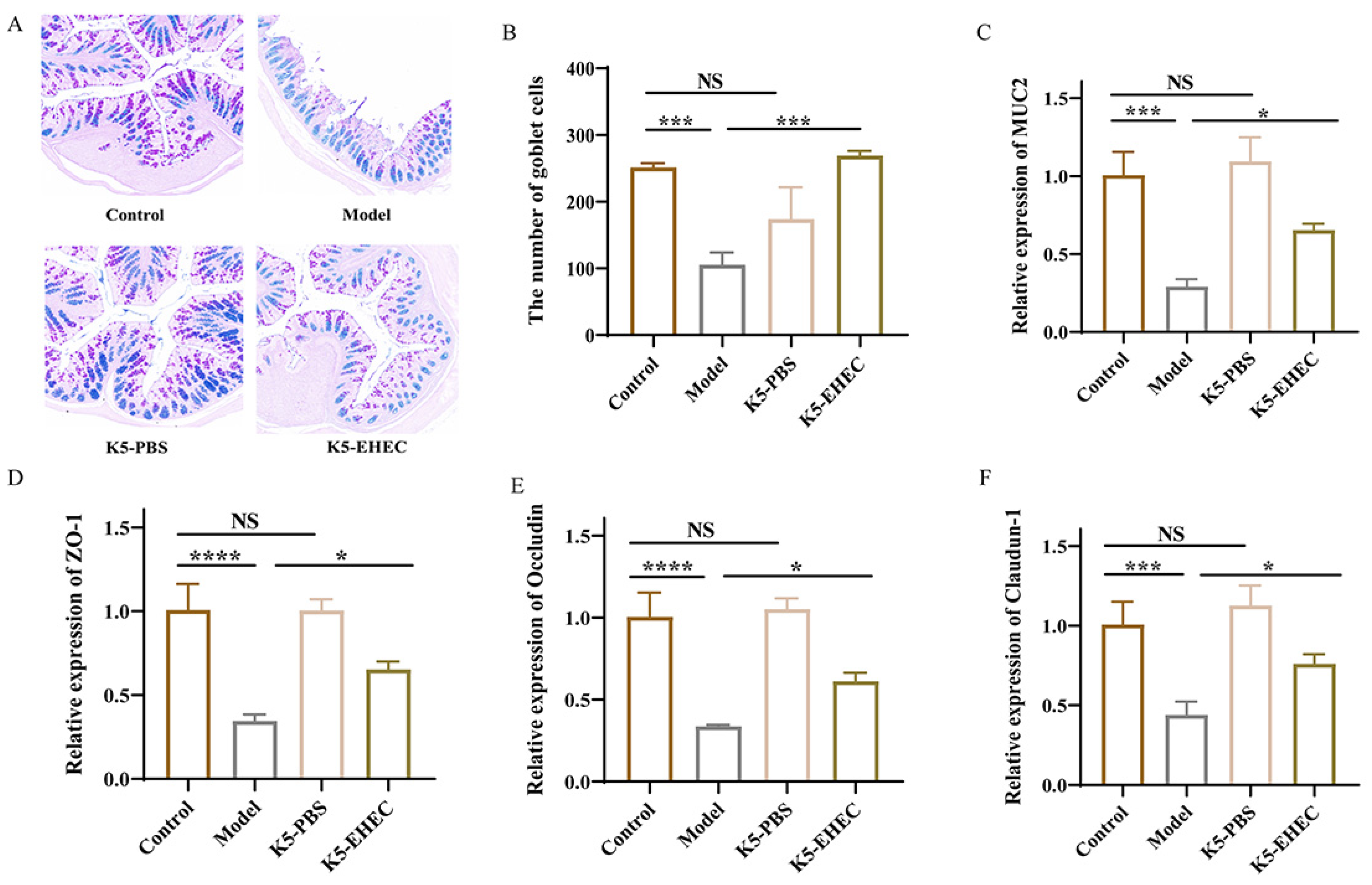 Nutrients 16 01164 g003