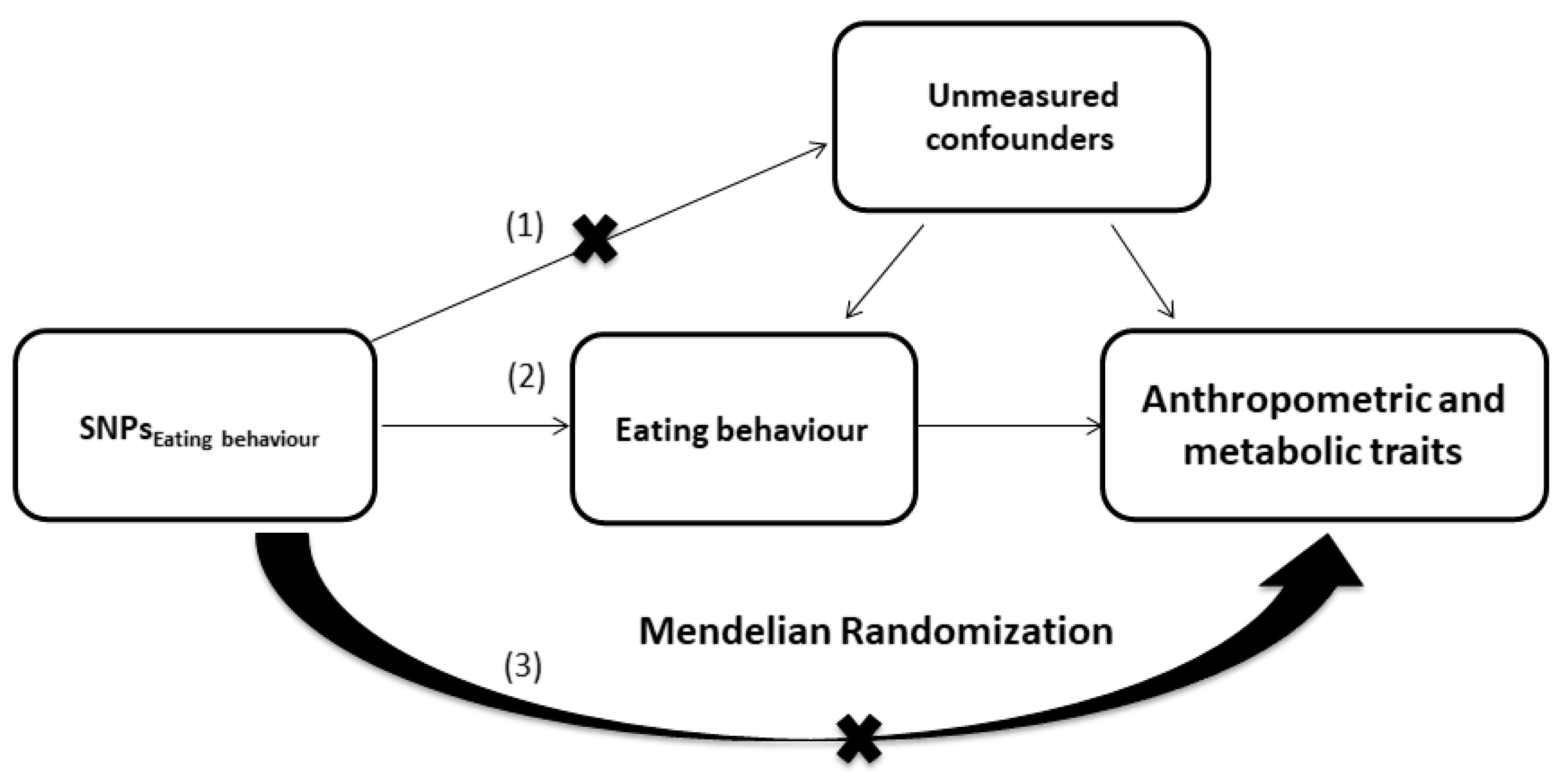 Nutrients 16 01166 g001