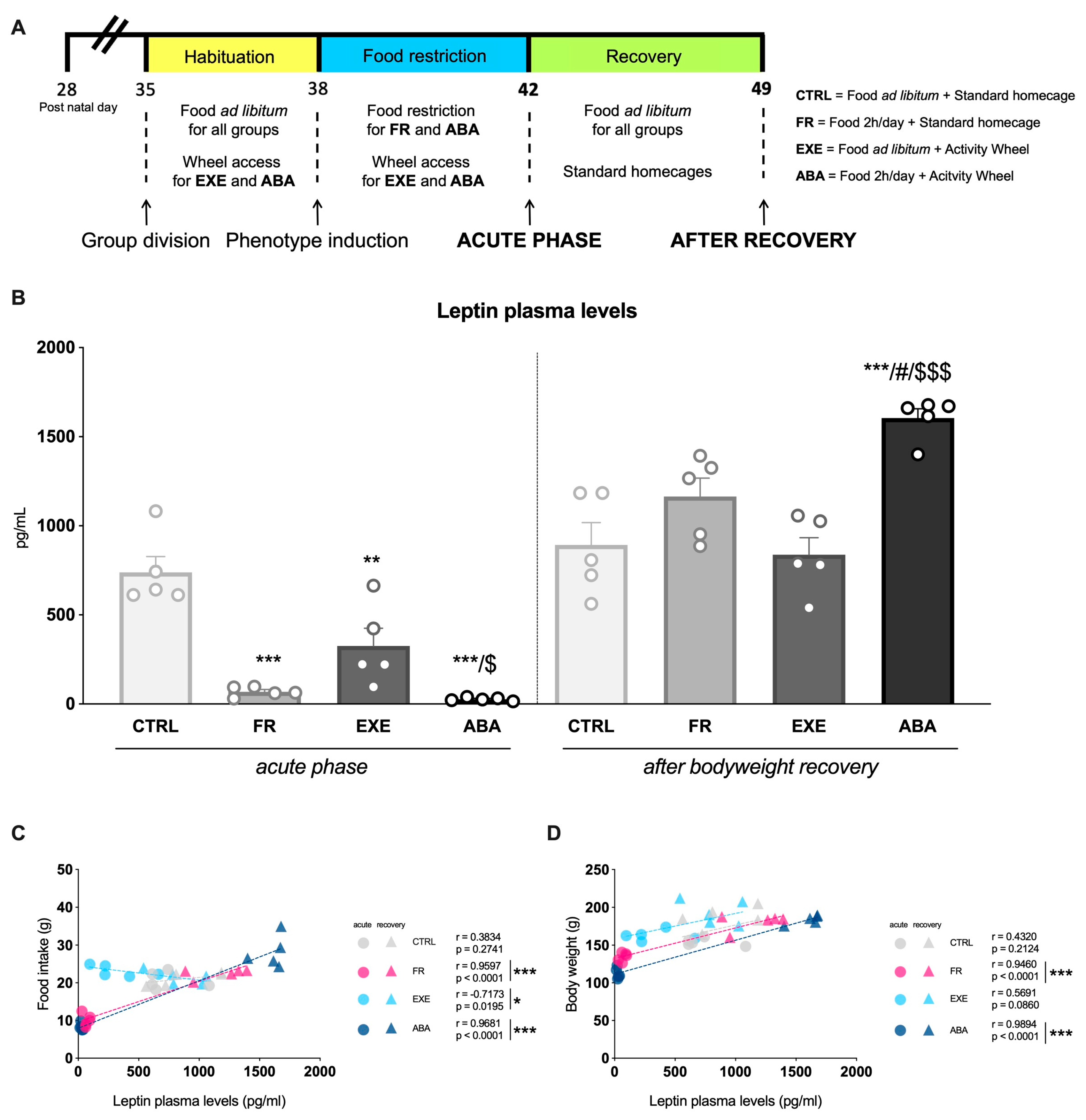 Nutrients | Free Full-Text | Anorexia-Induced Hypoleptinemia Drives  Adaptations in the JAK2/STAT3 Pathway in the Ventral and Dorsal Hippocampus  of Female Rats