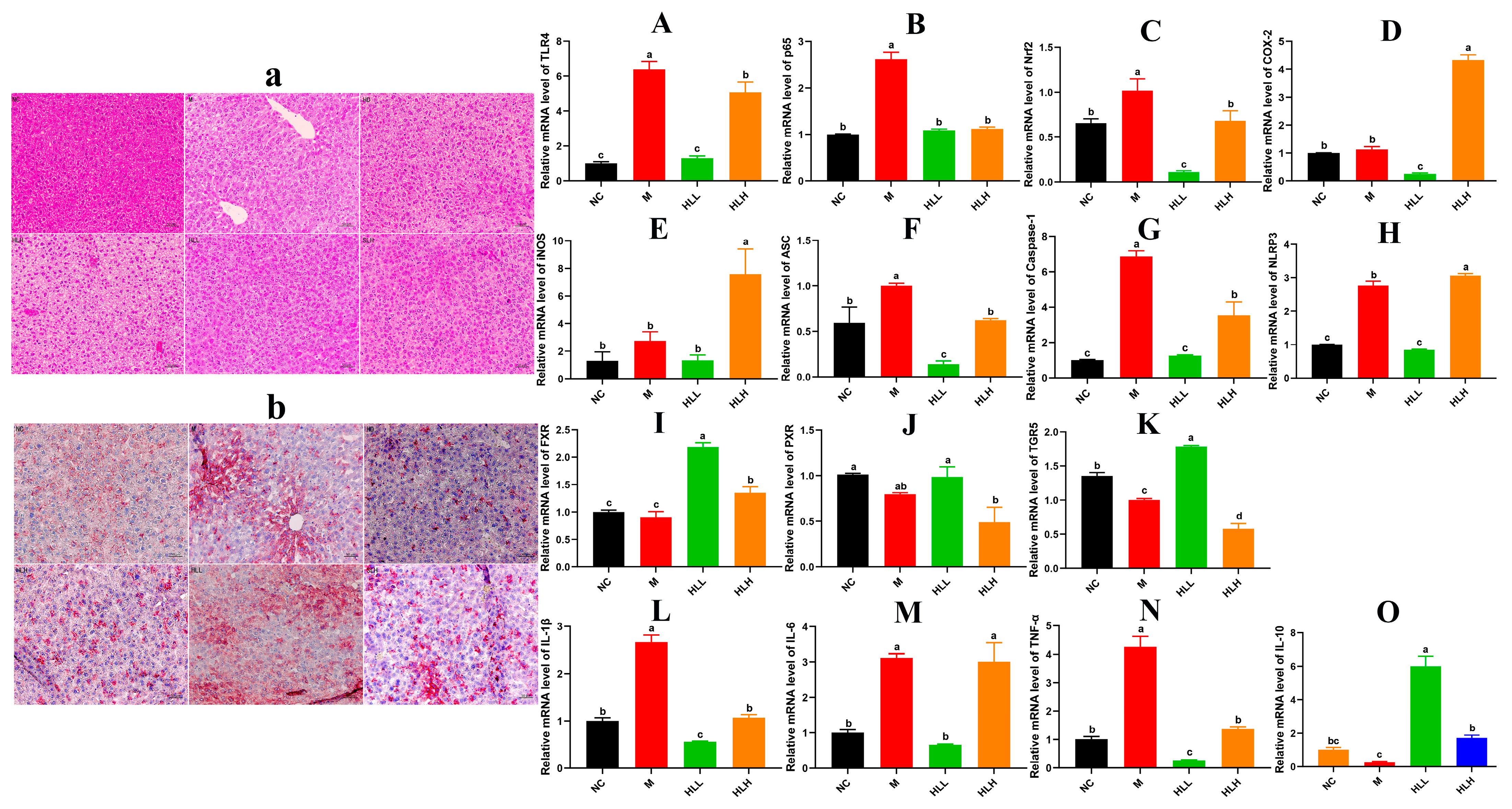 Nutrients 16 01178 g002