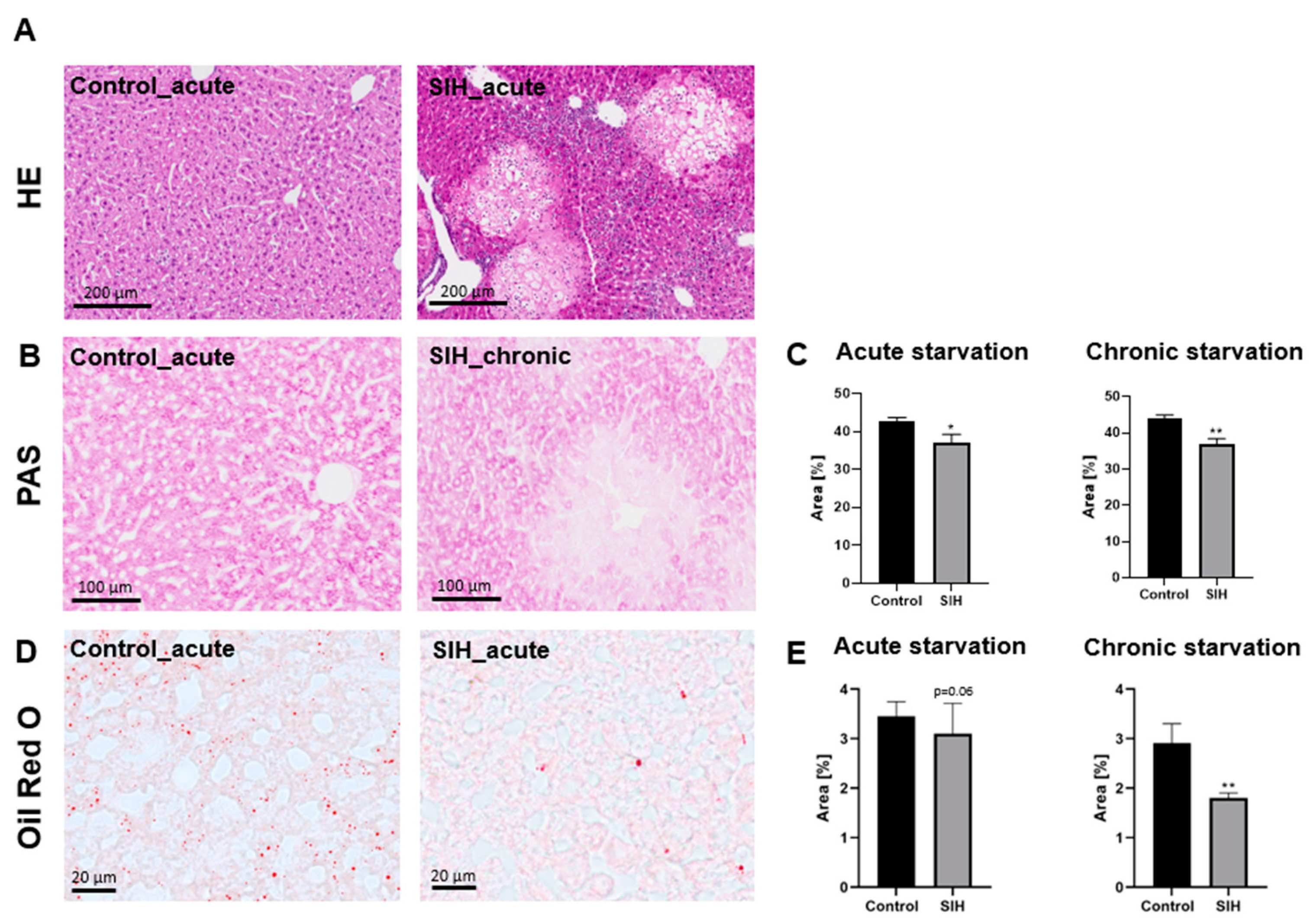 Nutrients 16 01191 g002