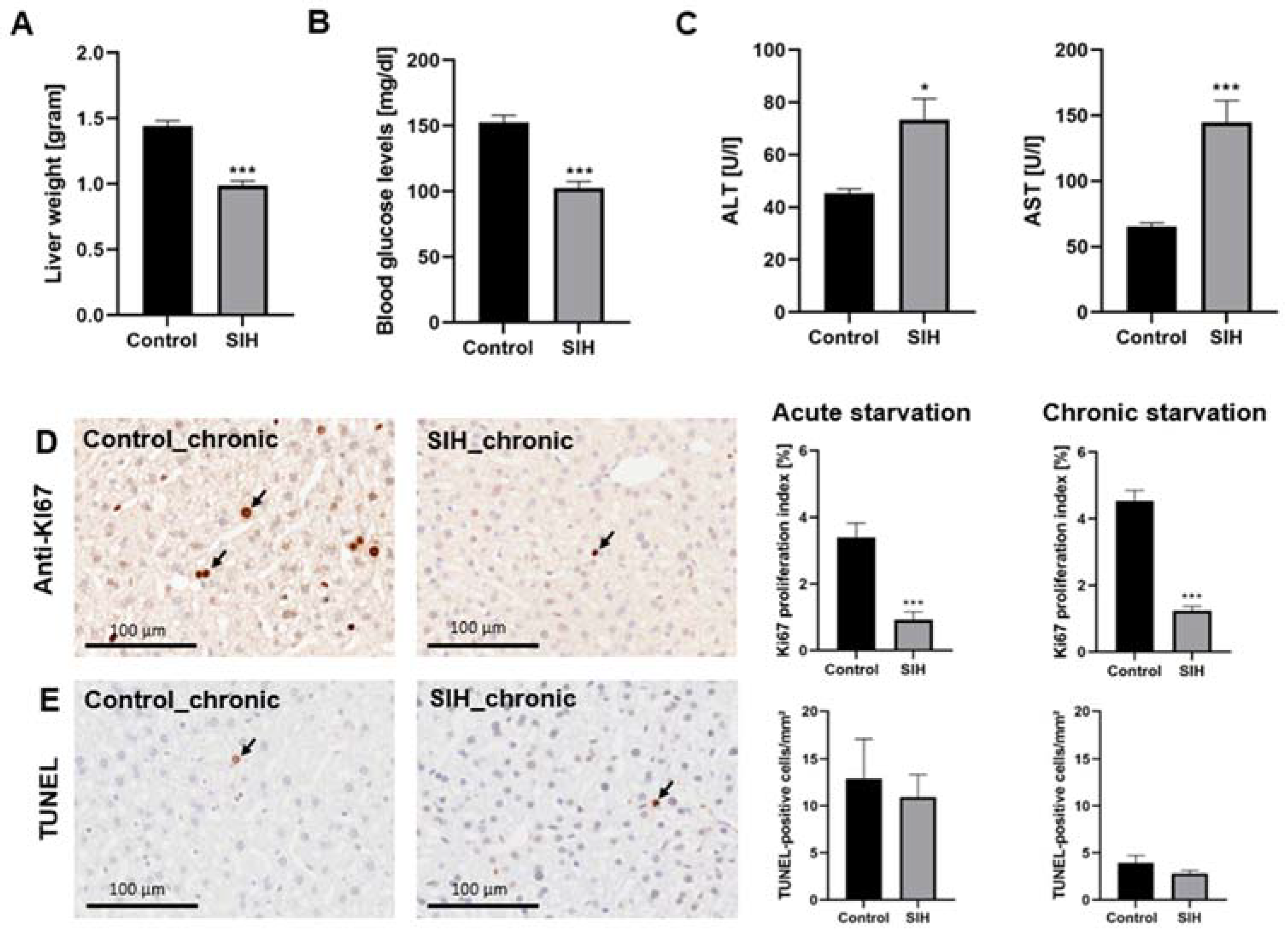 Nutrients 16 01191 g003