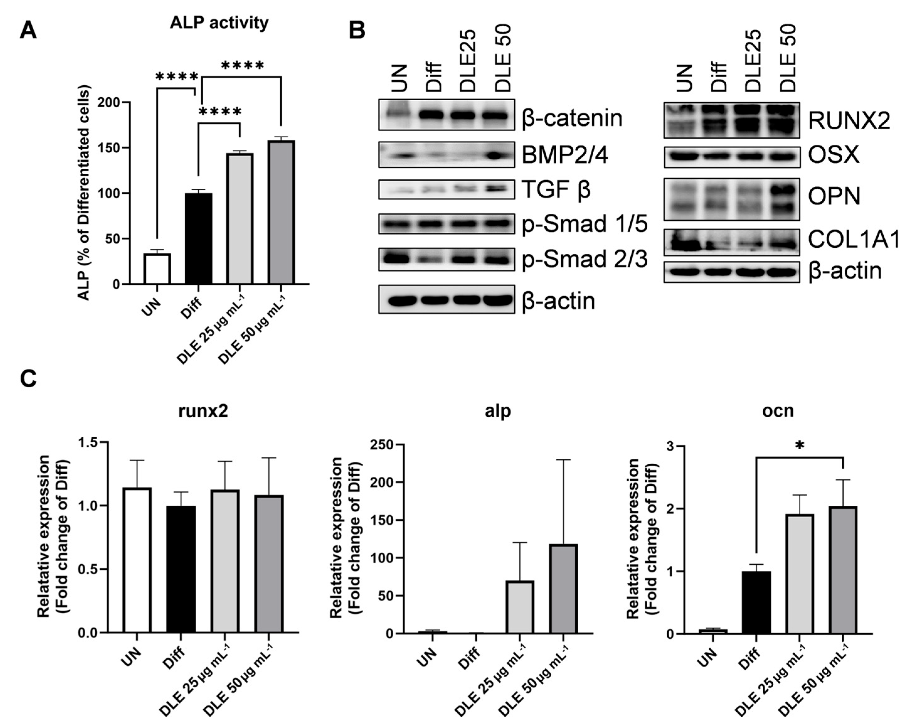 Nutrients 16 01247 g001