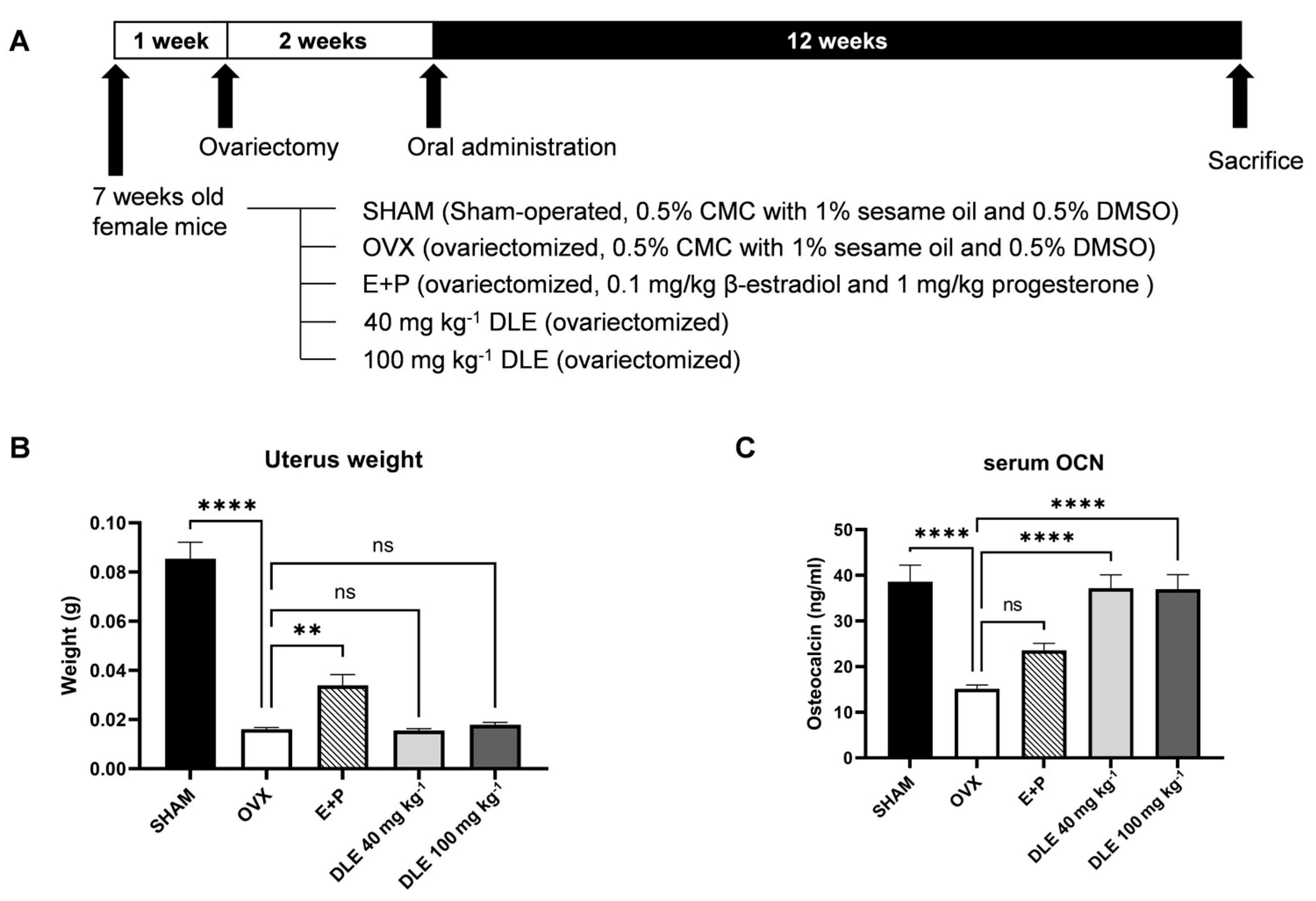 Nutrients 16 01247 g004