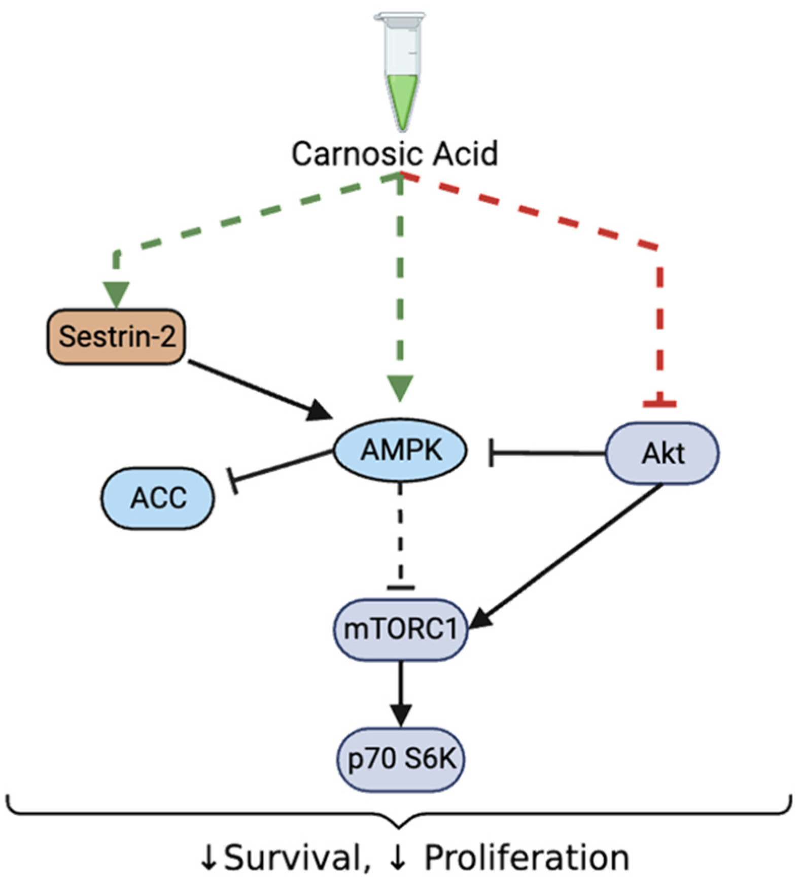 Nutrients 16 01257 g008