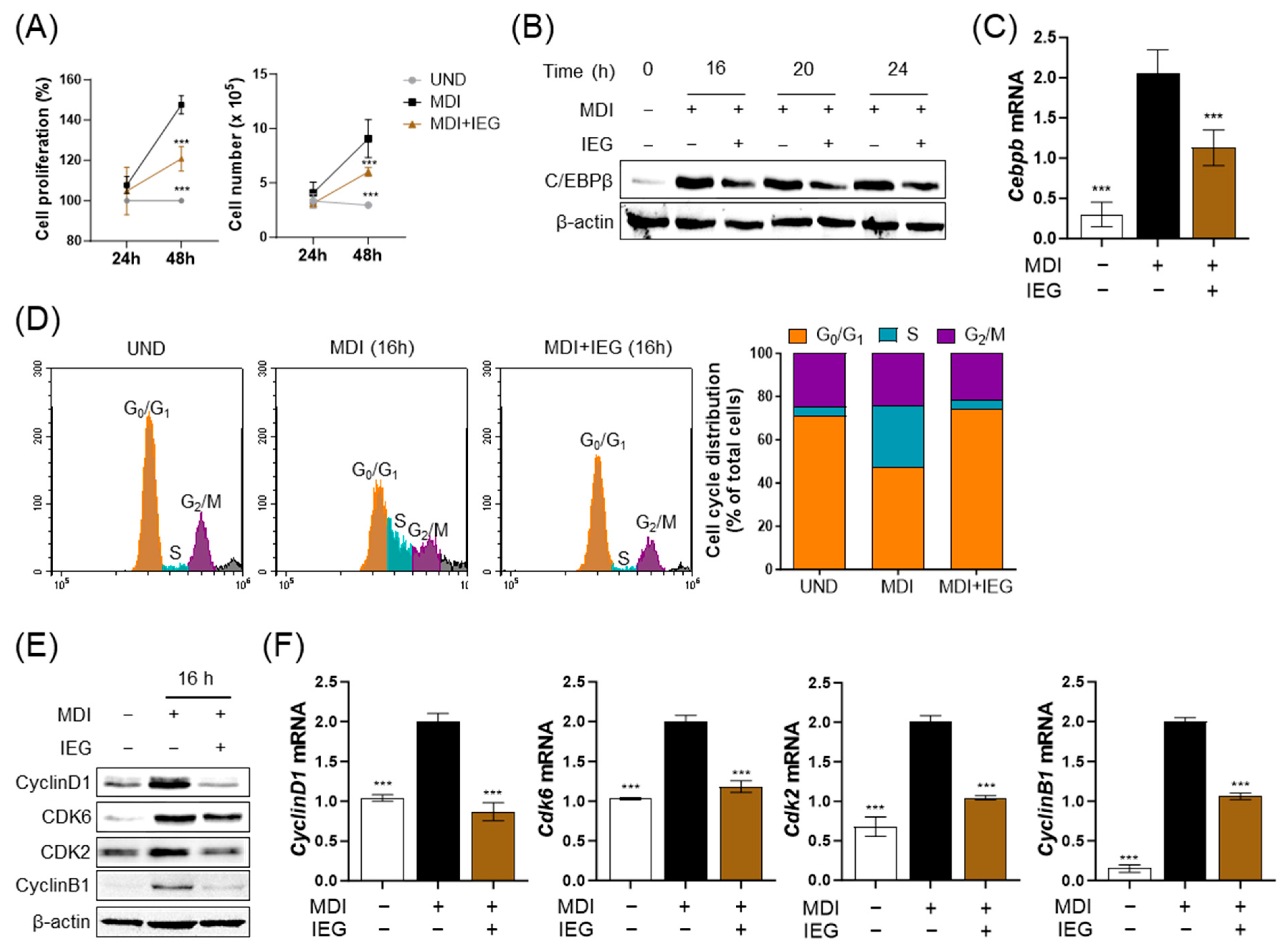 Nutrients 16 01262 g003