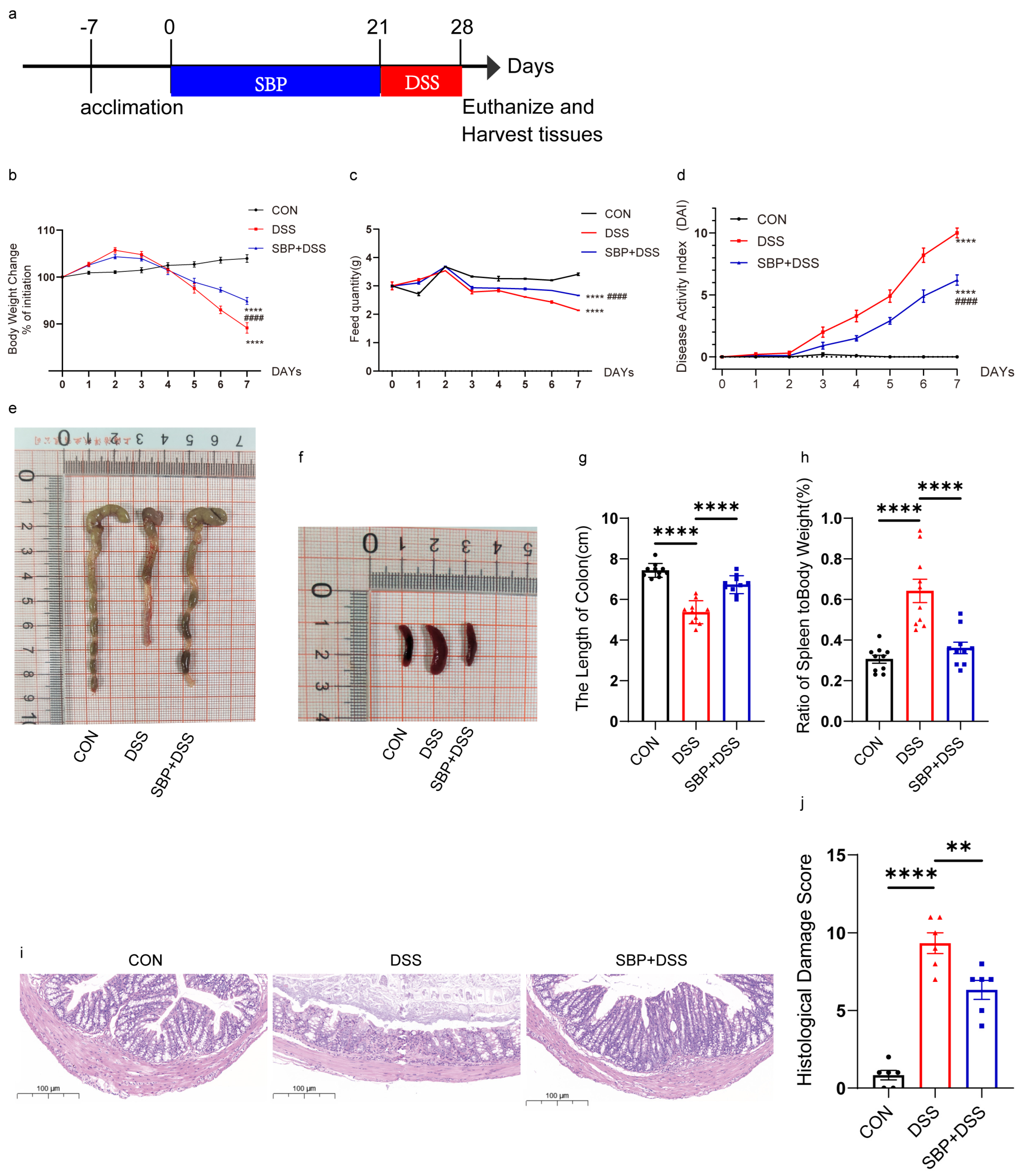 Nutrients 16 01280 g002