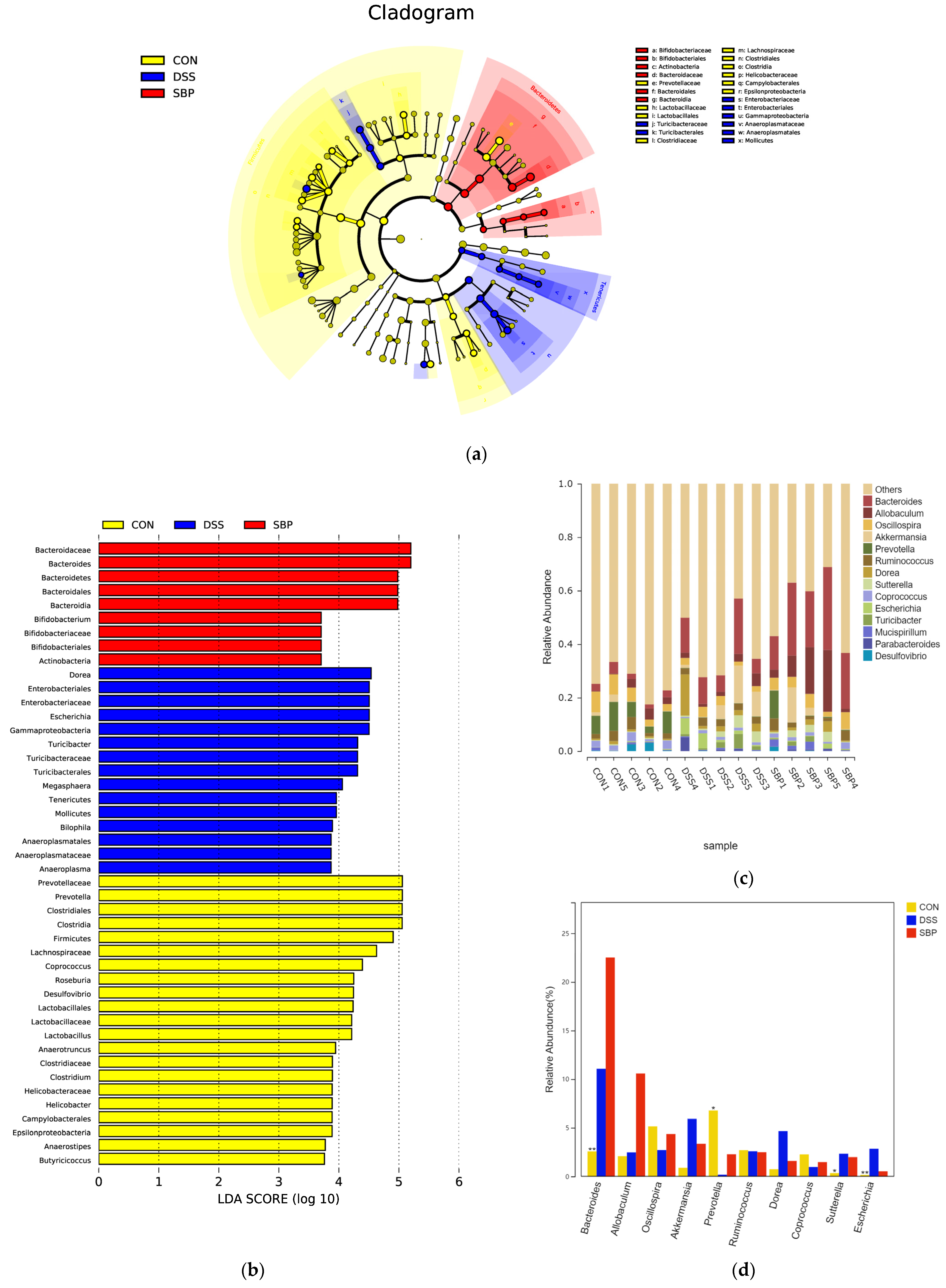 Nutrients 16 01280 g007
