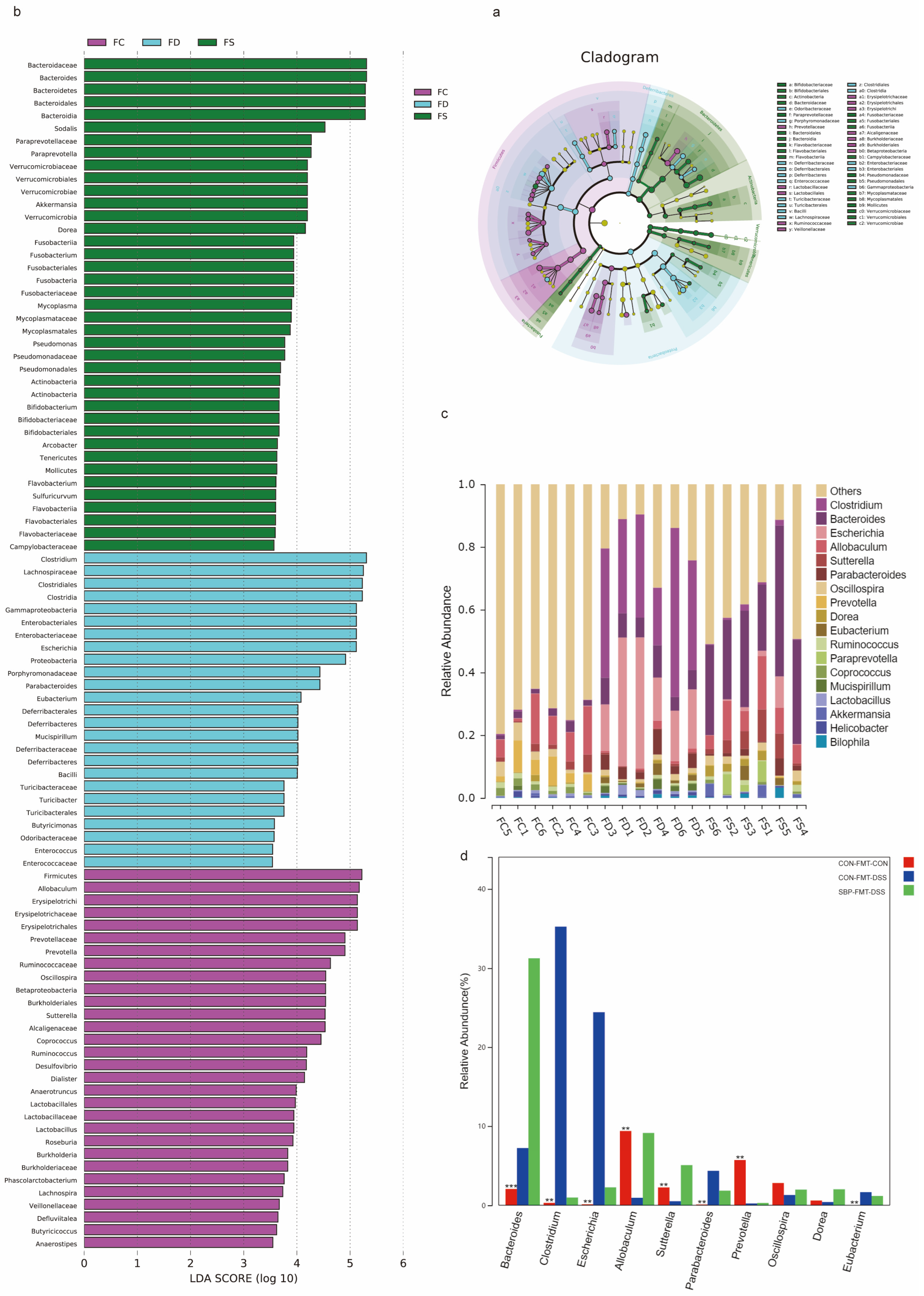 Nutrients 16 01280 g014