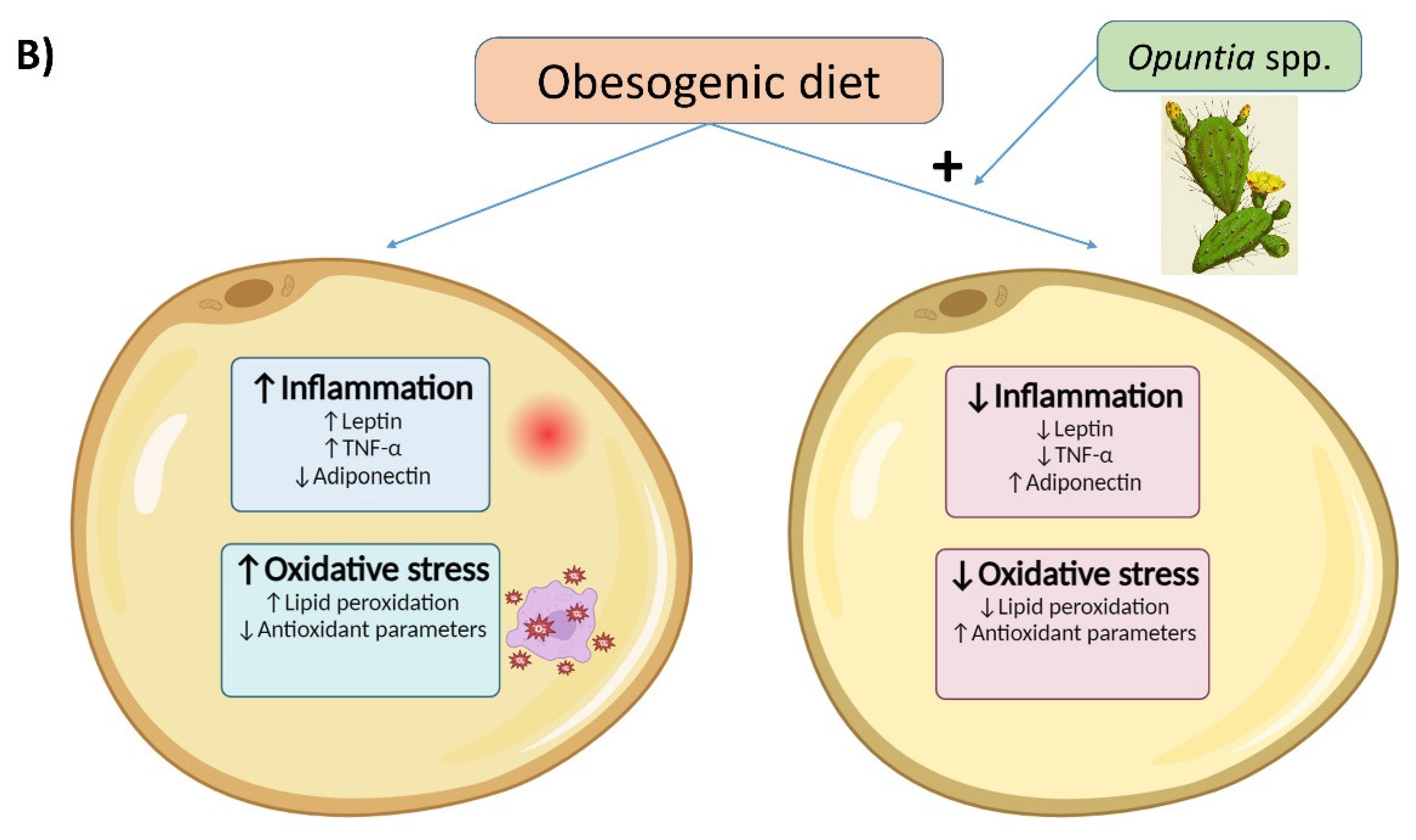 Nutrients 16 01282 g001b