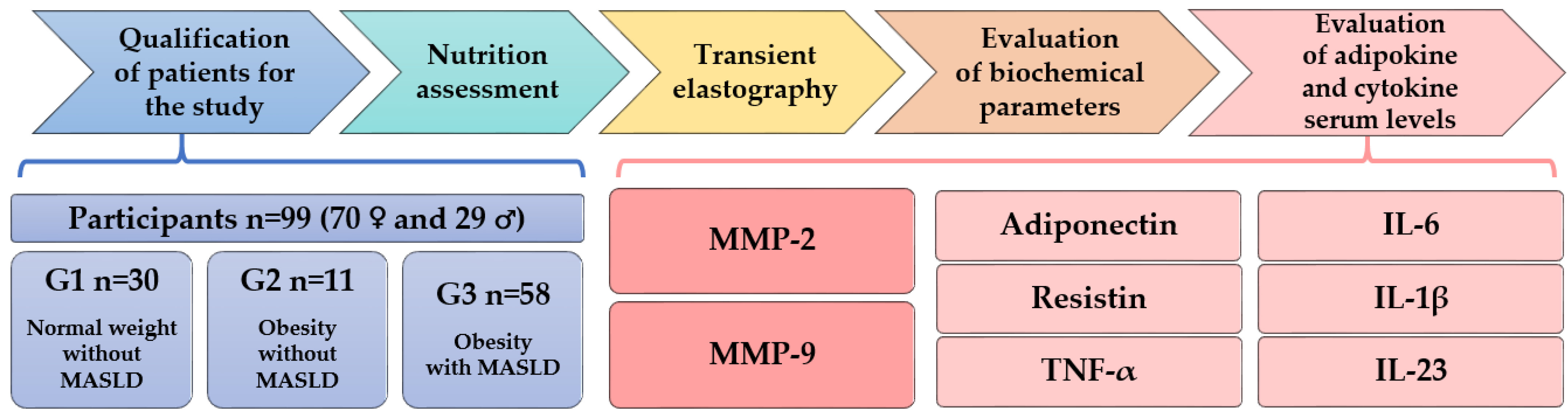 Nutrients 16 01381 g001