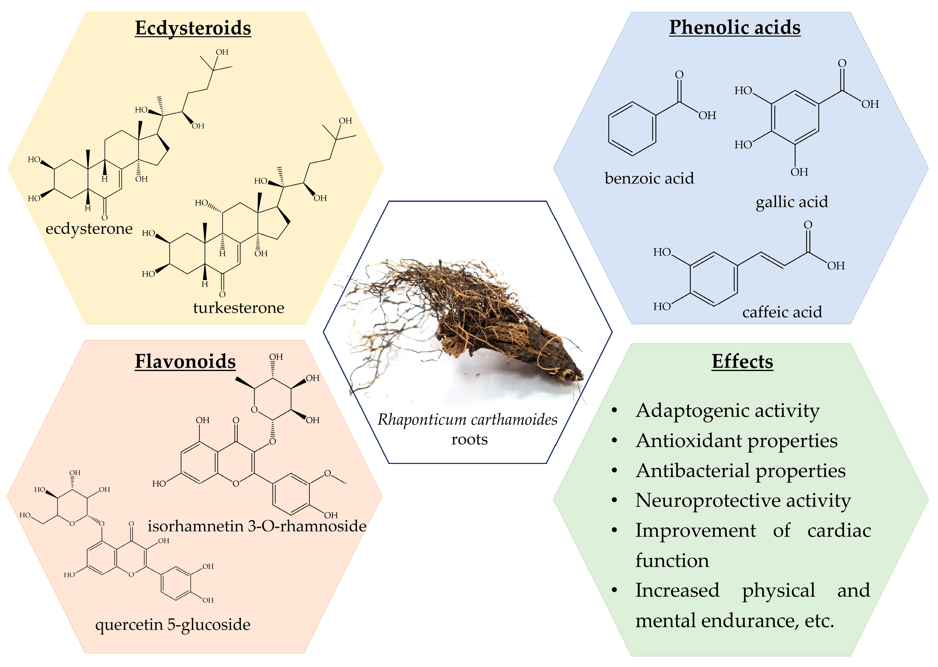 Nutrients 16 01382 g002 Nutrients 16 01382 g002