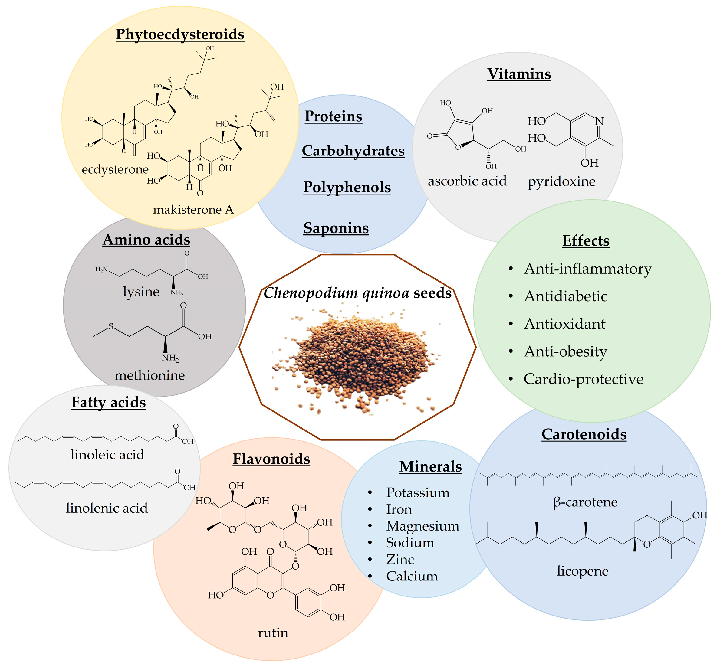 Nutrients 16 01382 g004 Nutrients 16 01382 g004