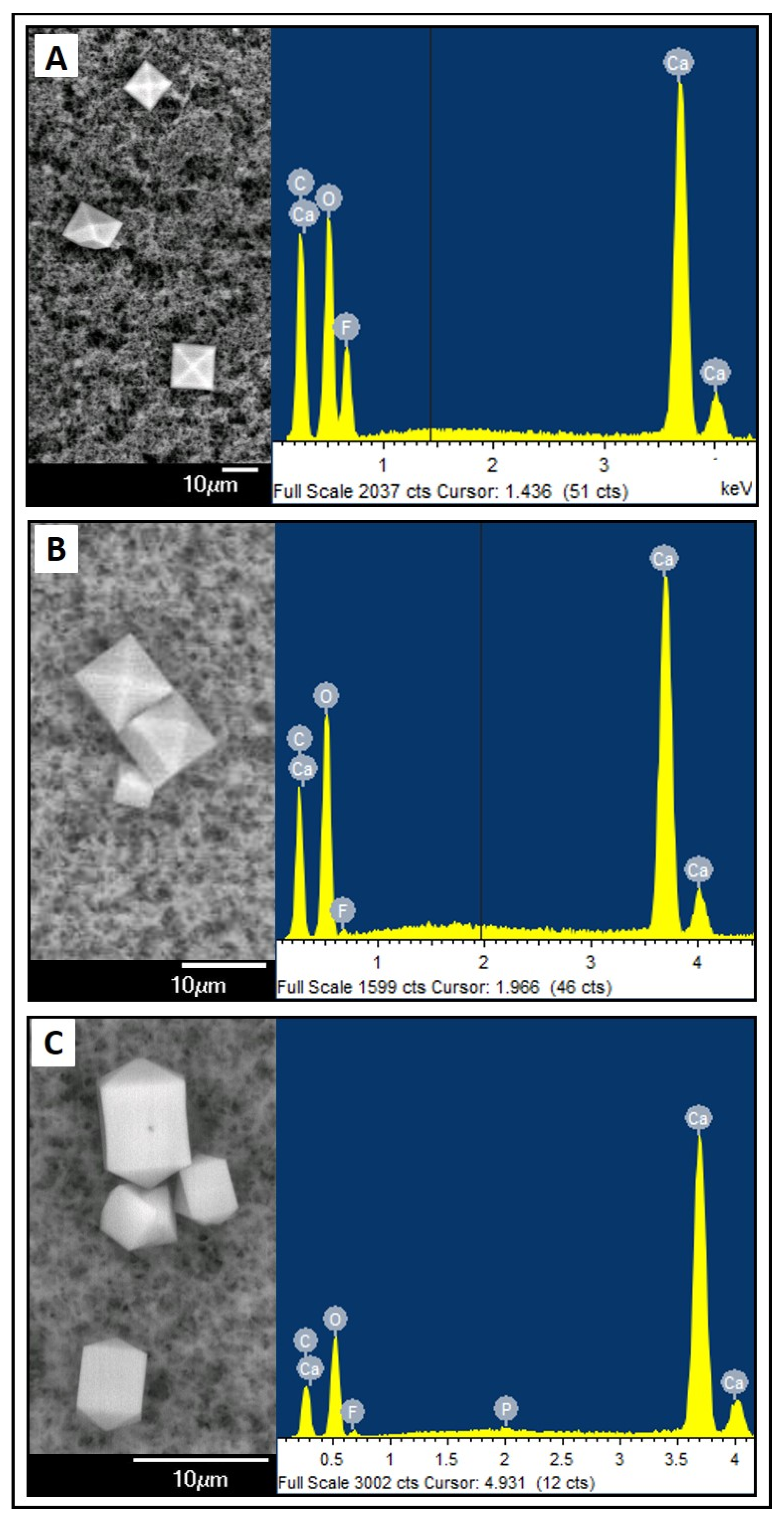 Nutrients 16 01390 g001