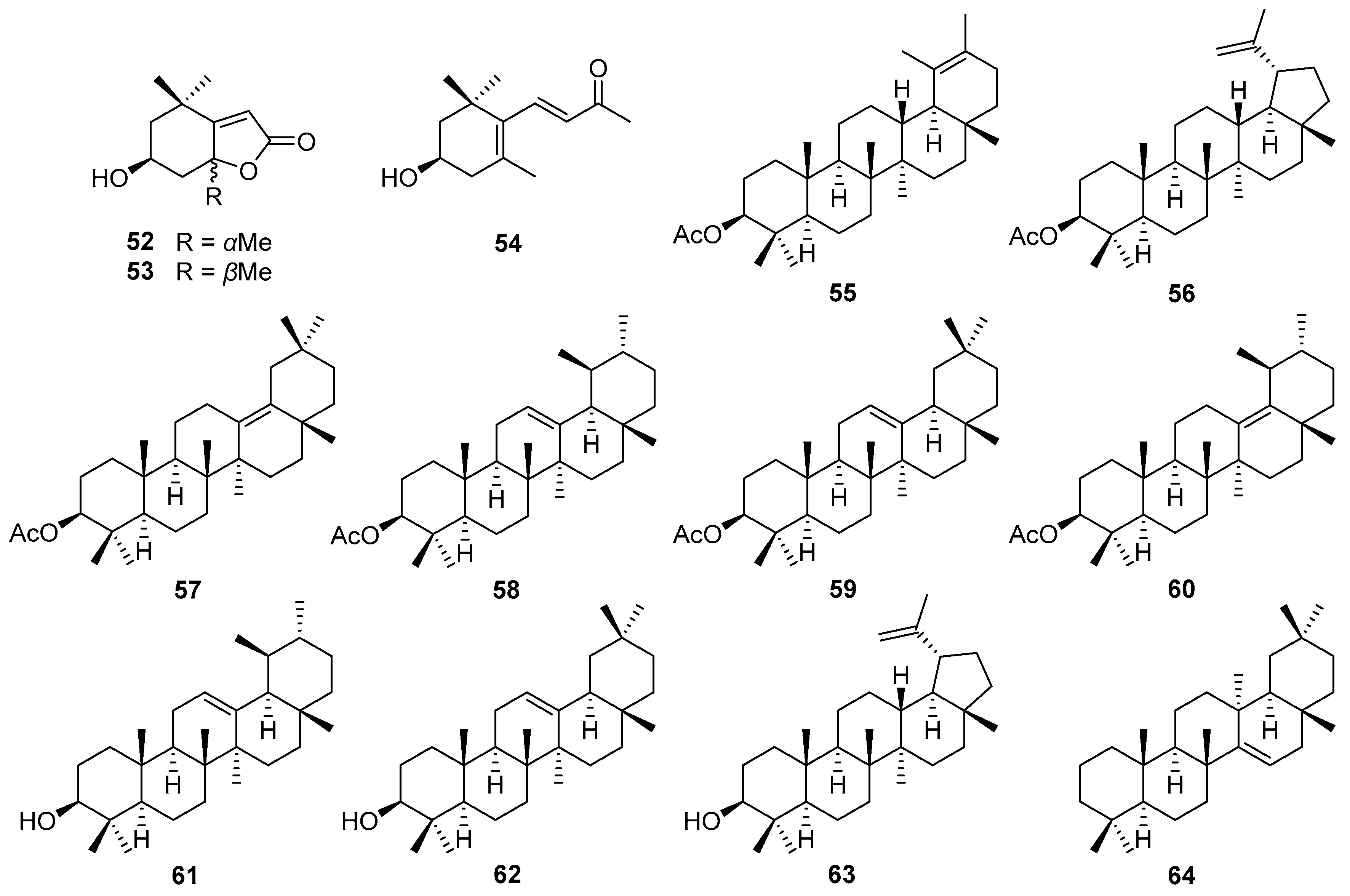 Nutrients 16 01396 g003 Nutrients 16 01396 g003