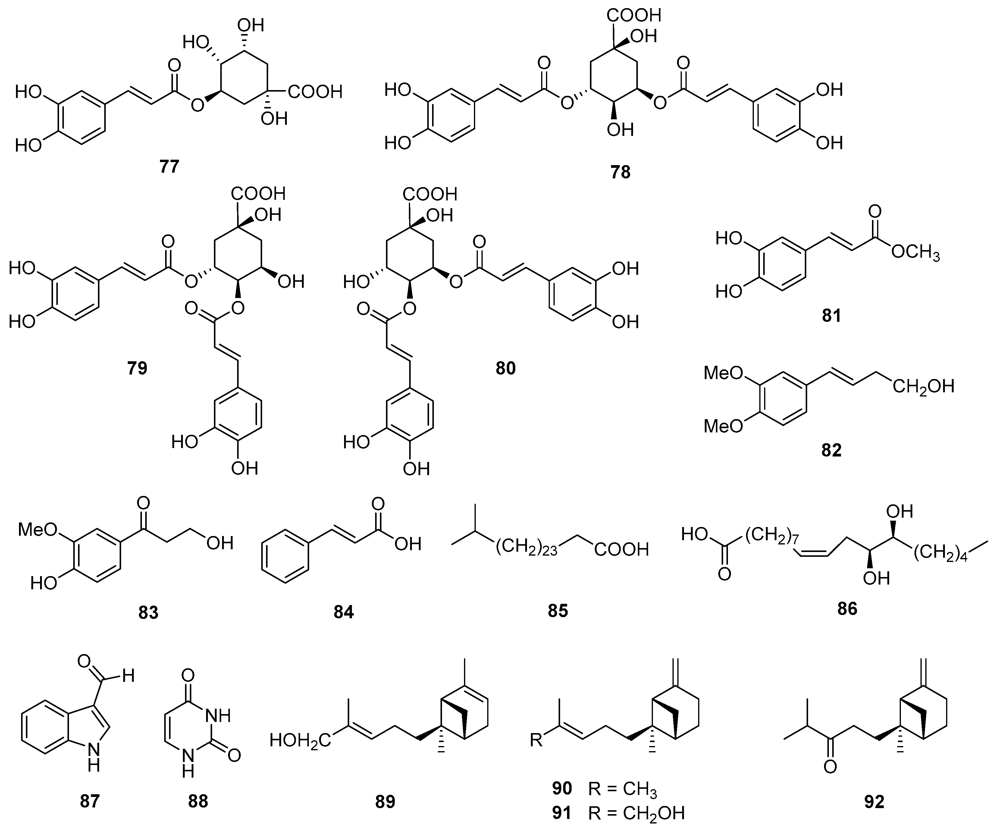 Nutrients 16 01396 g006 Nutrients 16 01396 g006