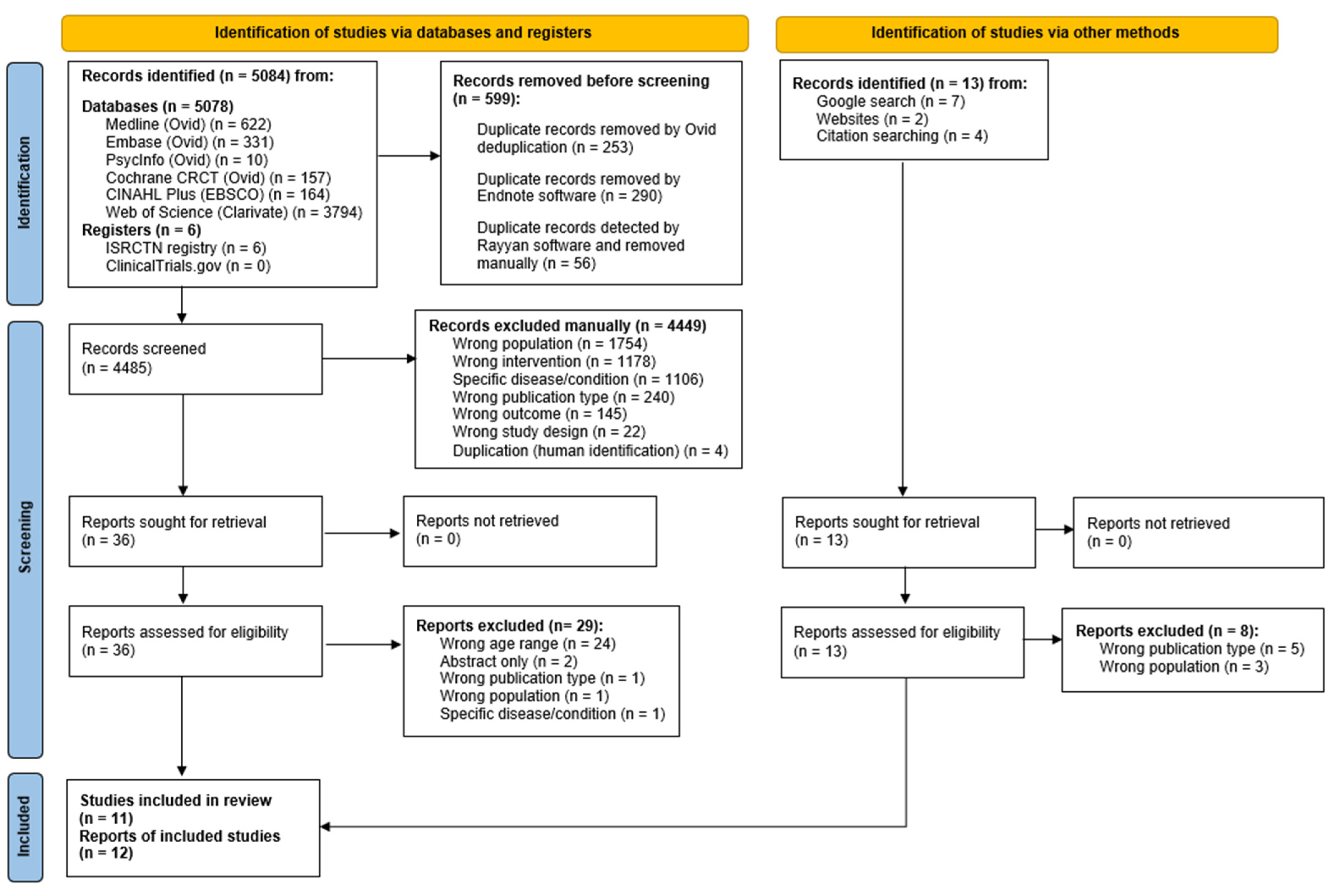 Nutrients 16 01398 g001