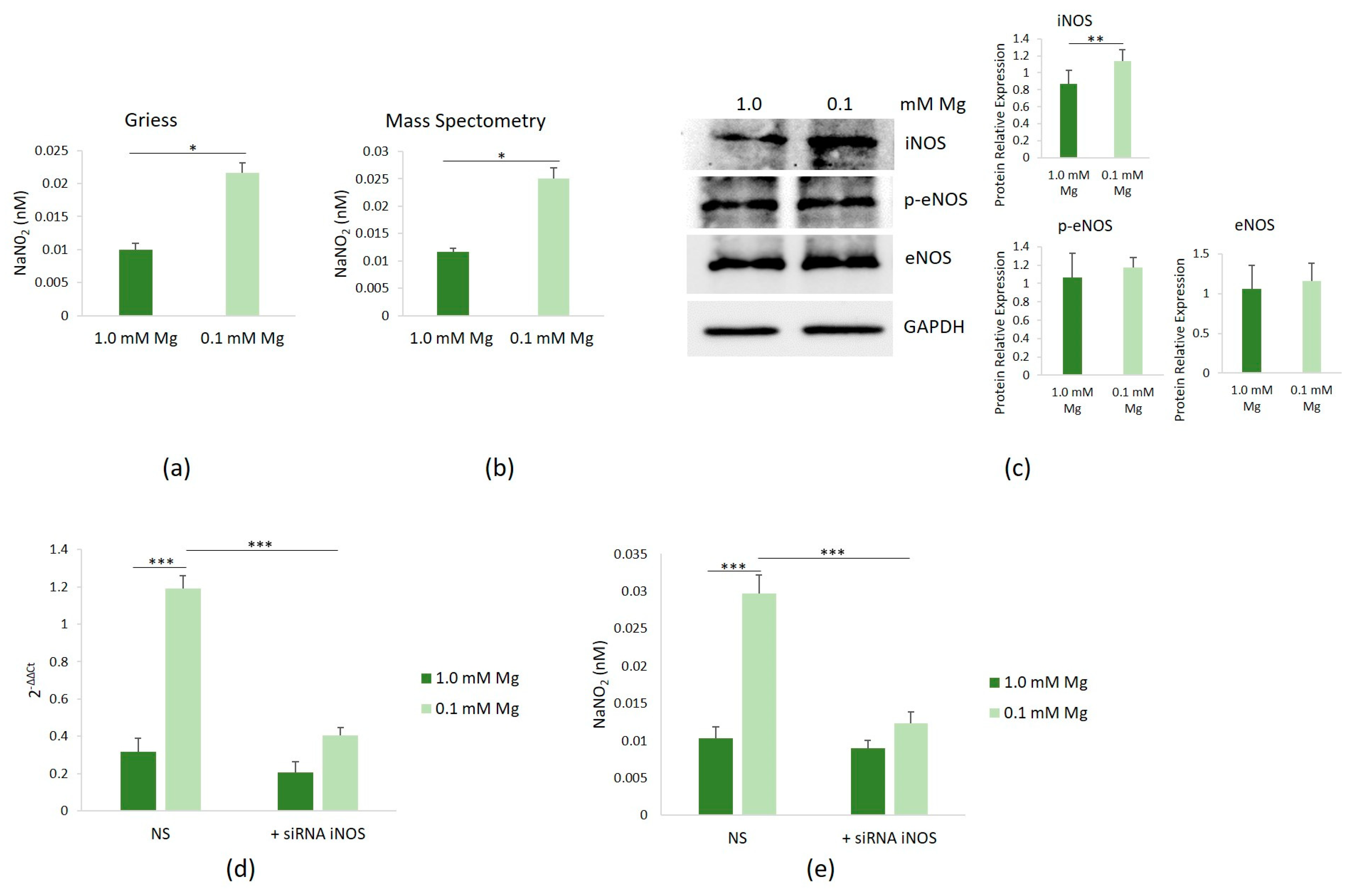 Nutrients 16 01406 g003