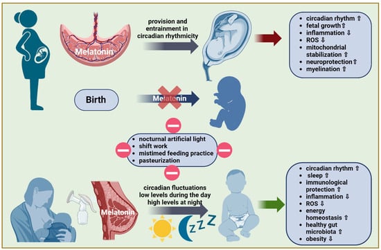 Nutrients | Free Full-Text | Melatonin in Human Breast Milk and Its ...