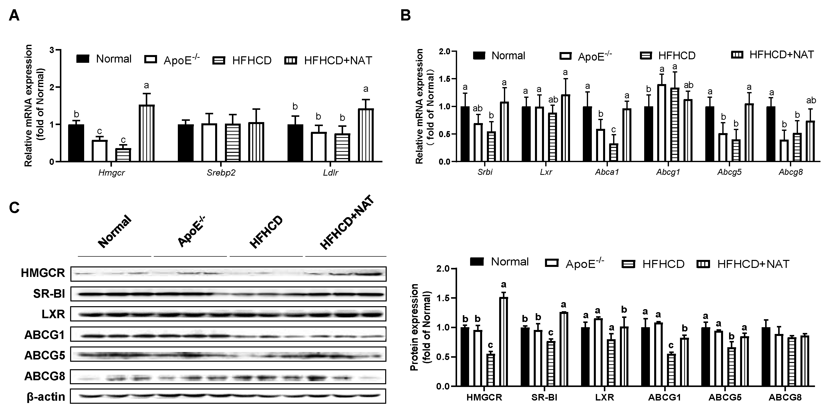 Nutrients 16 01502 g003