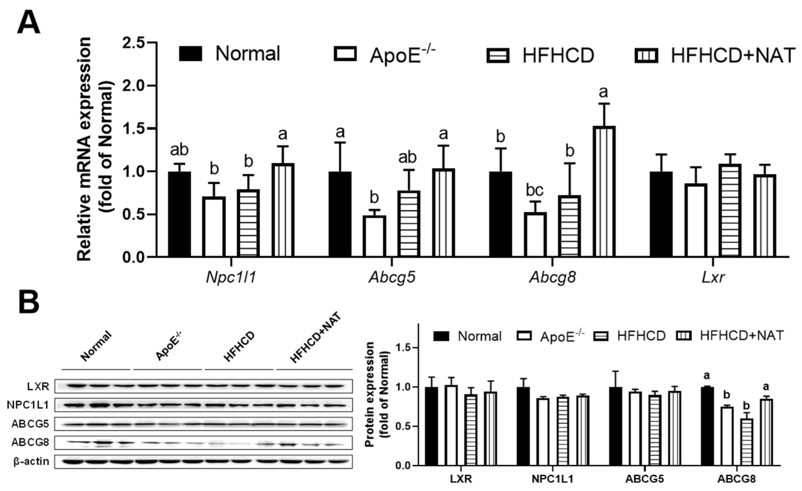 Nutrients 16 01502 g004