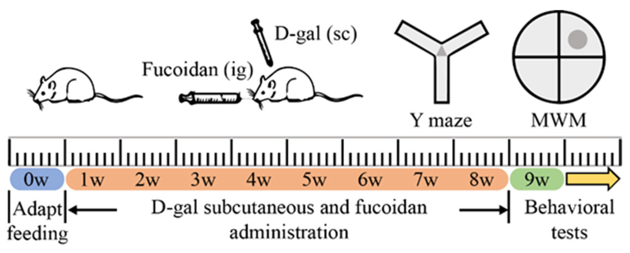 Nutrients 16 01512 g001