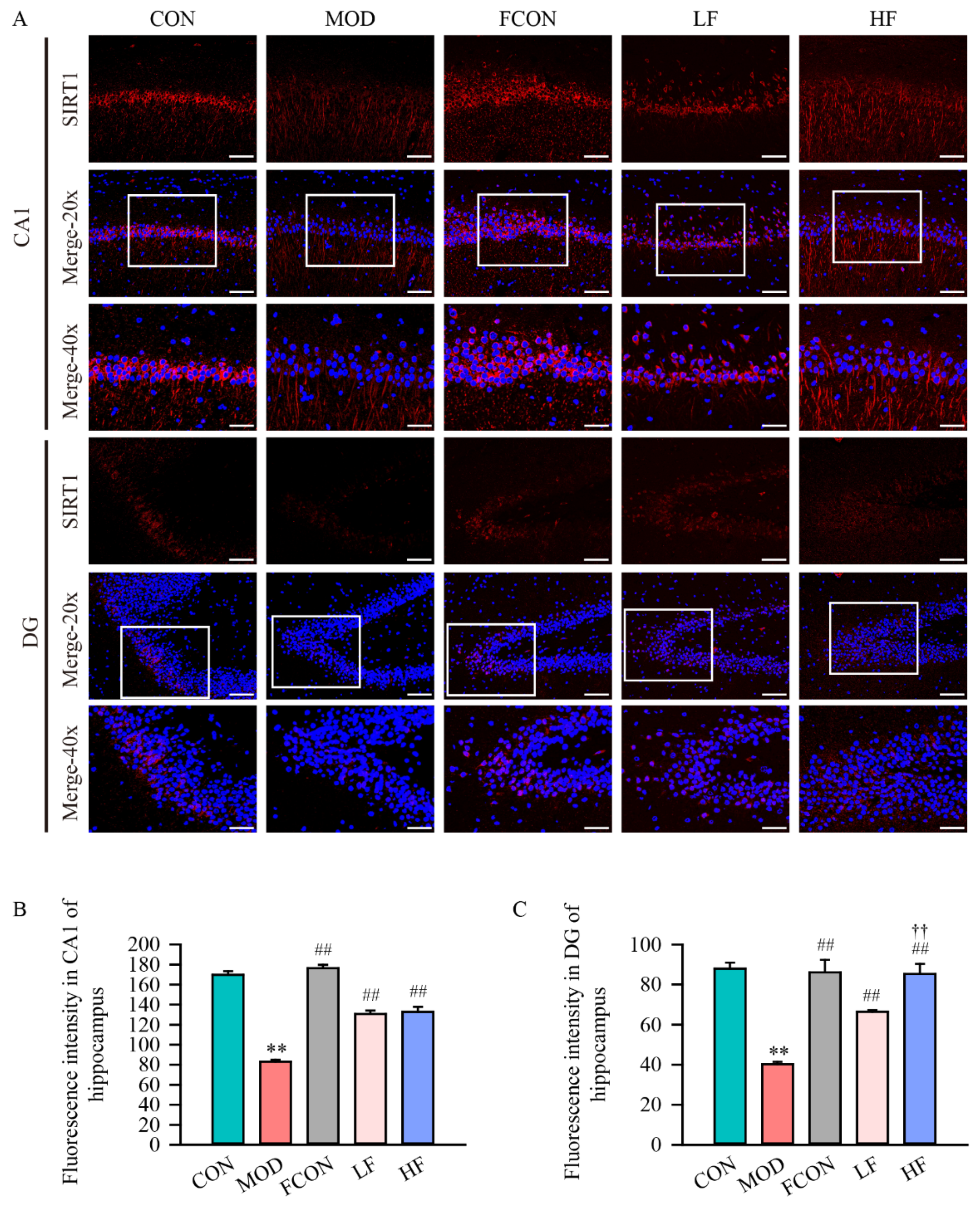 Nutrients 16 01512 g008