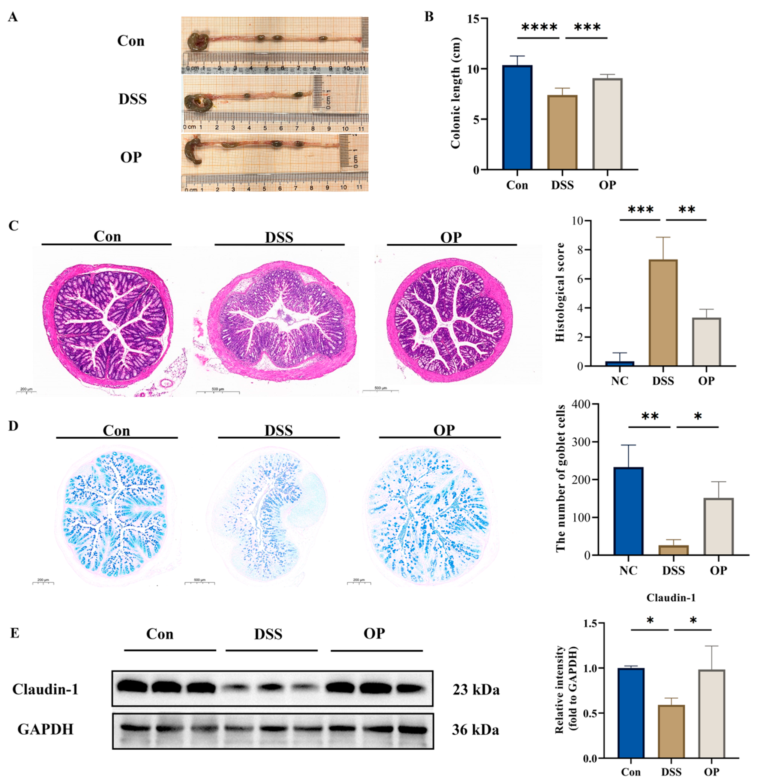 Nutrients 16 01591 g002