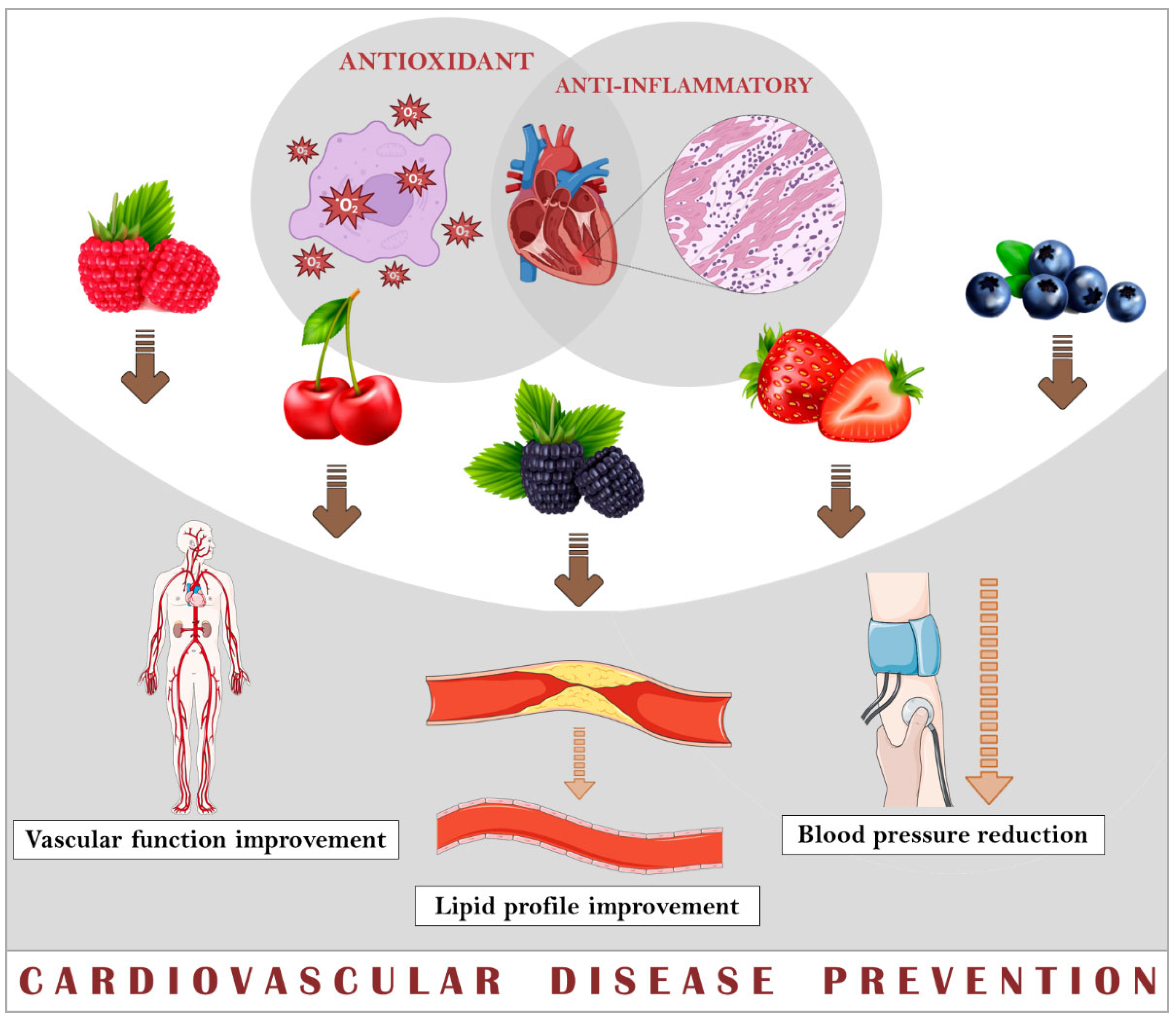 Nutrients 16 01597 g003 Nutrients 16 01597 g003
